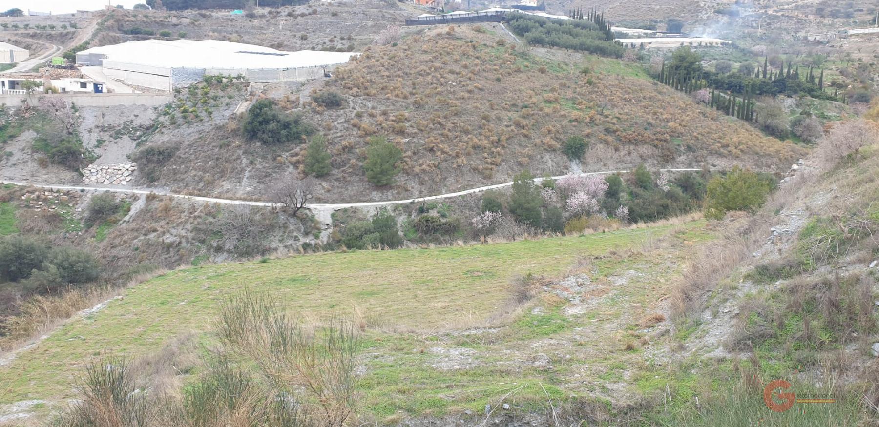 Vente de terrain dans Molvízar