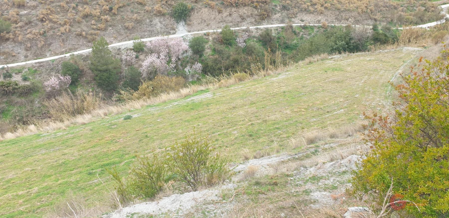 Vente de terrain dans Molvízar