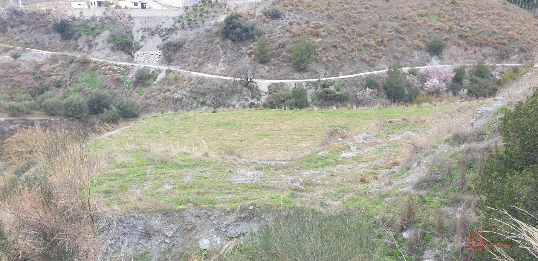 Vente de terrain dans Molvízar