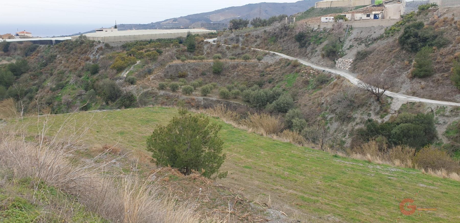 For sale of land in Molvízar