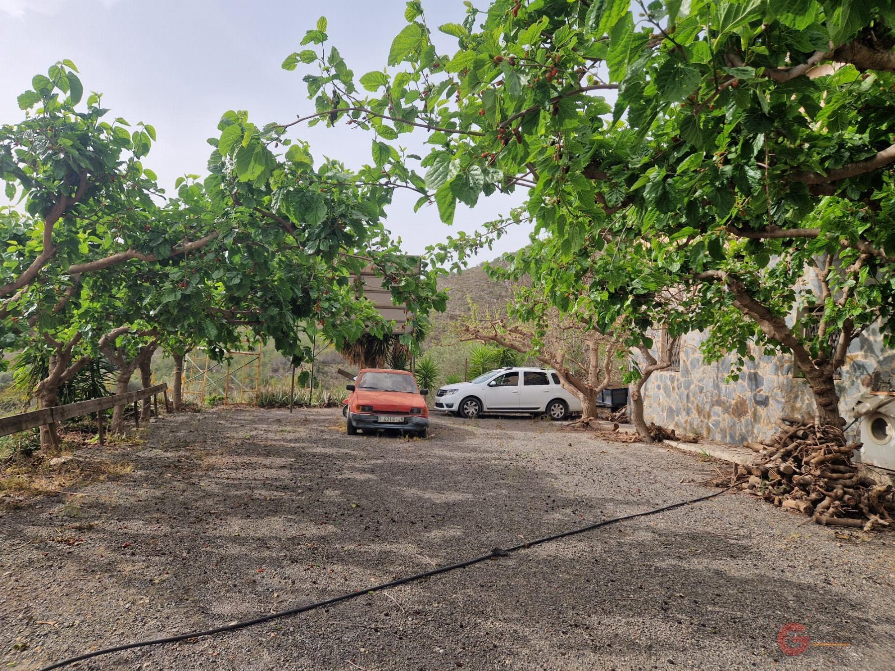 Vente de propriété rurale dans Molvízar