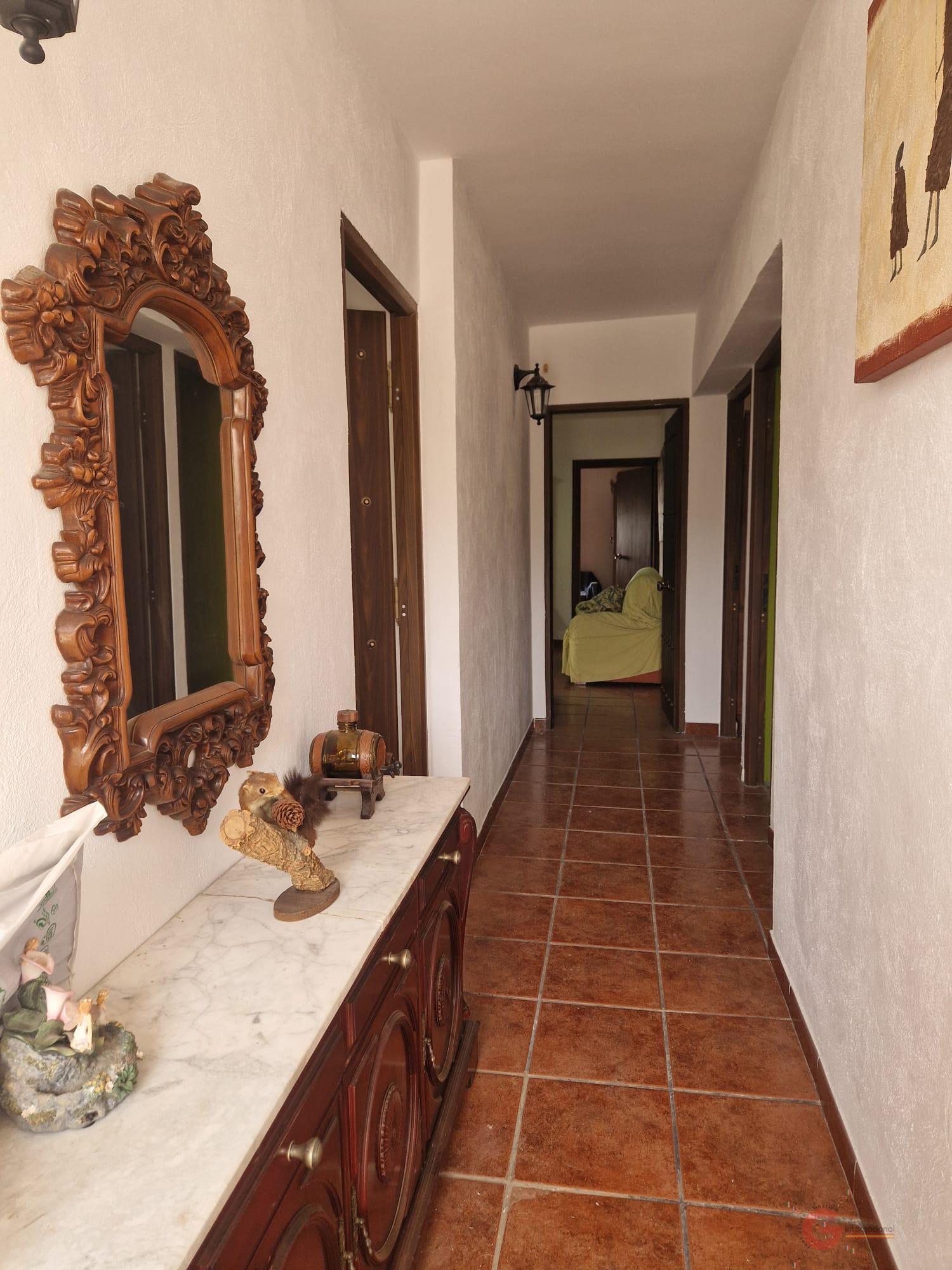 Vente de propriété rurale dans Molvízar