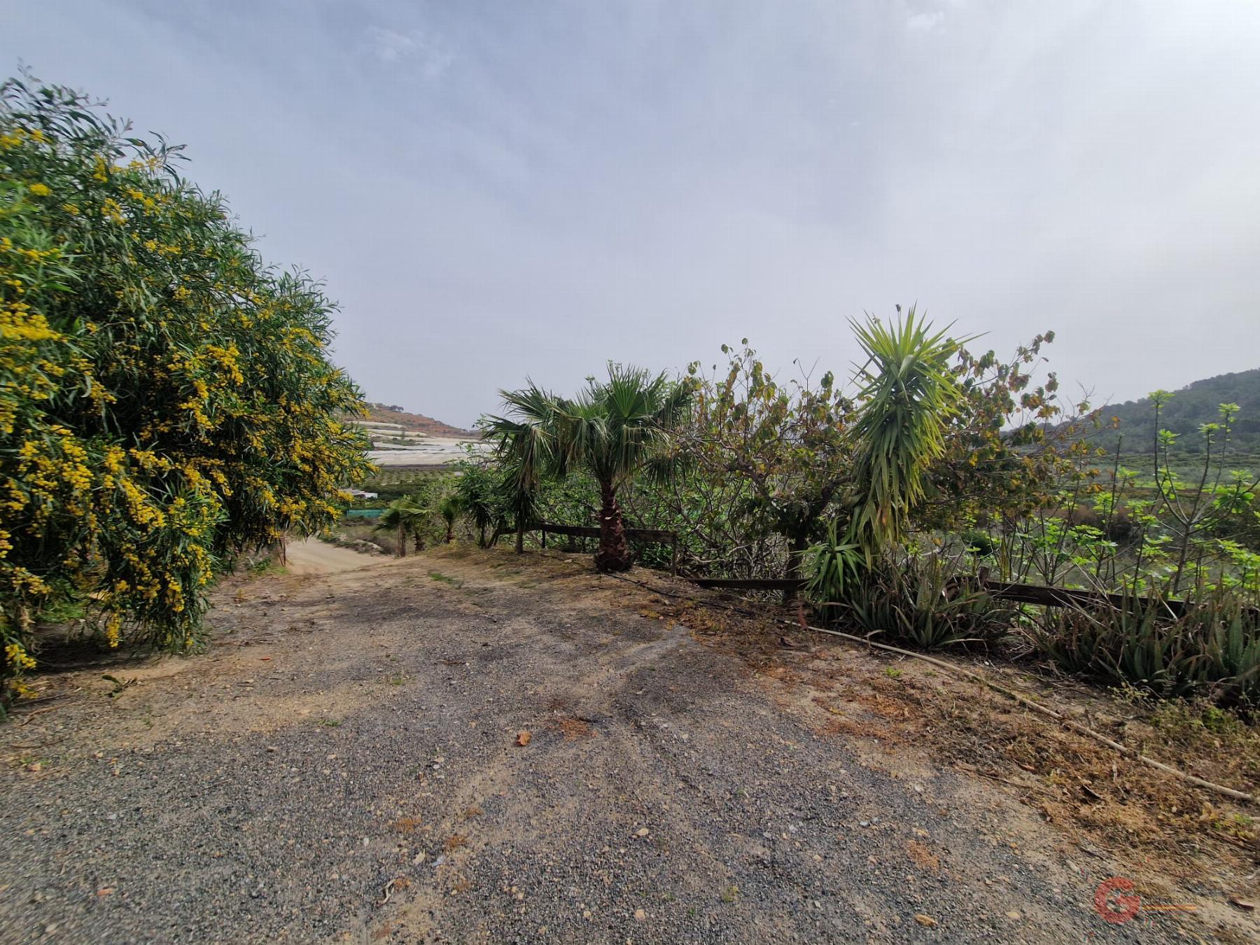 Vente de propriété rurale dans Molvízar