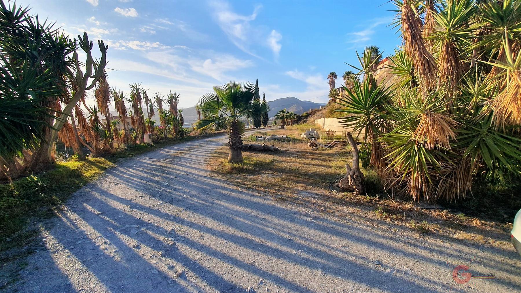 For sale of rural property in Motril