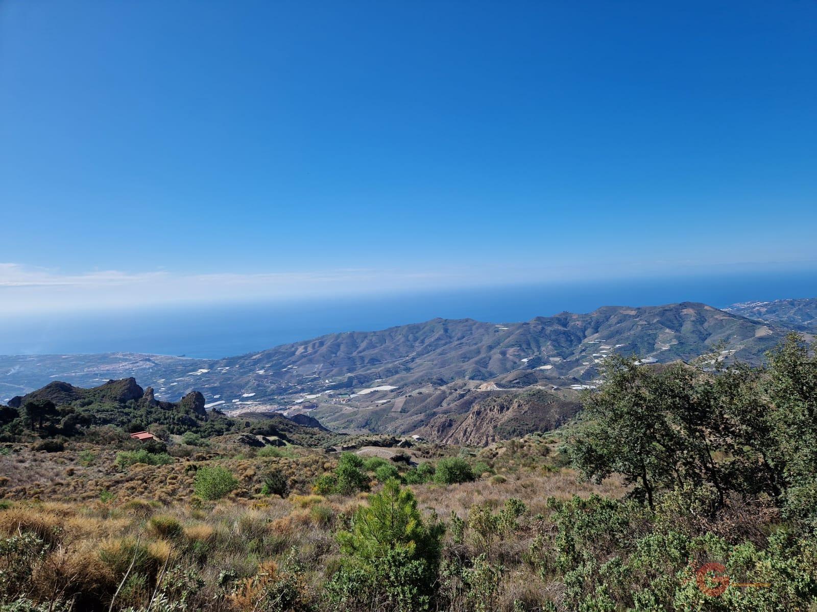 For sale of rural property in Molvízar