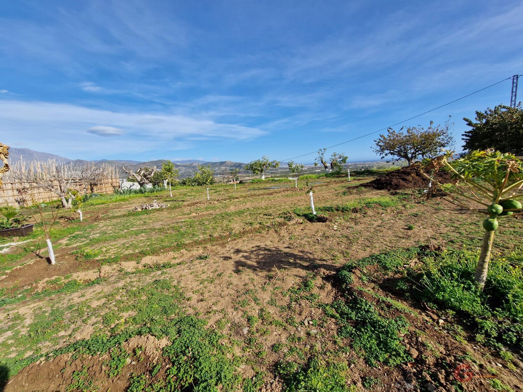 For sale of rural property in Salobreña