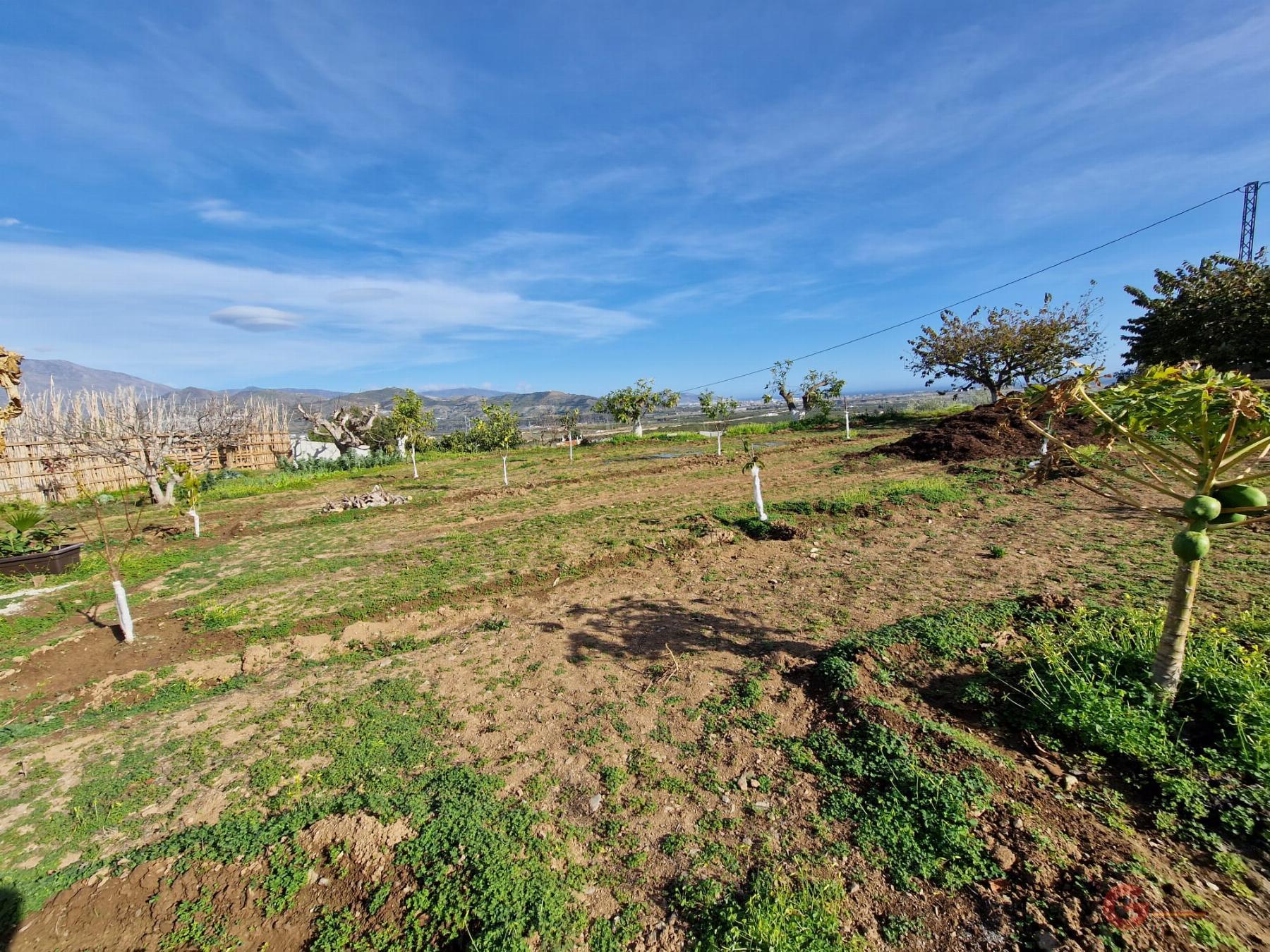 Venta de finca rústica en Salobreña