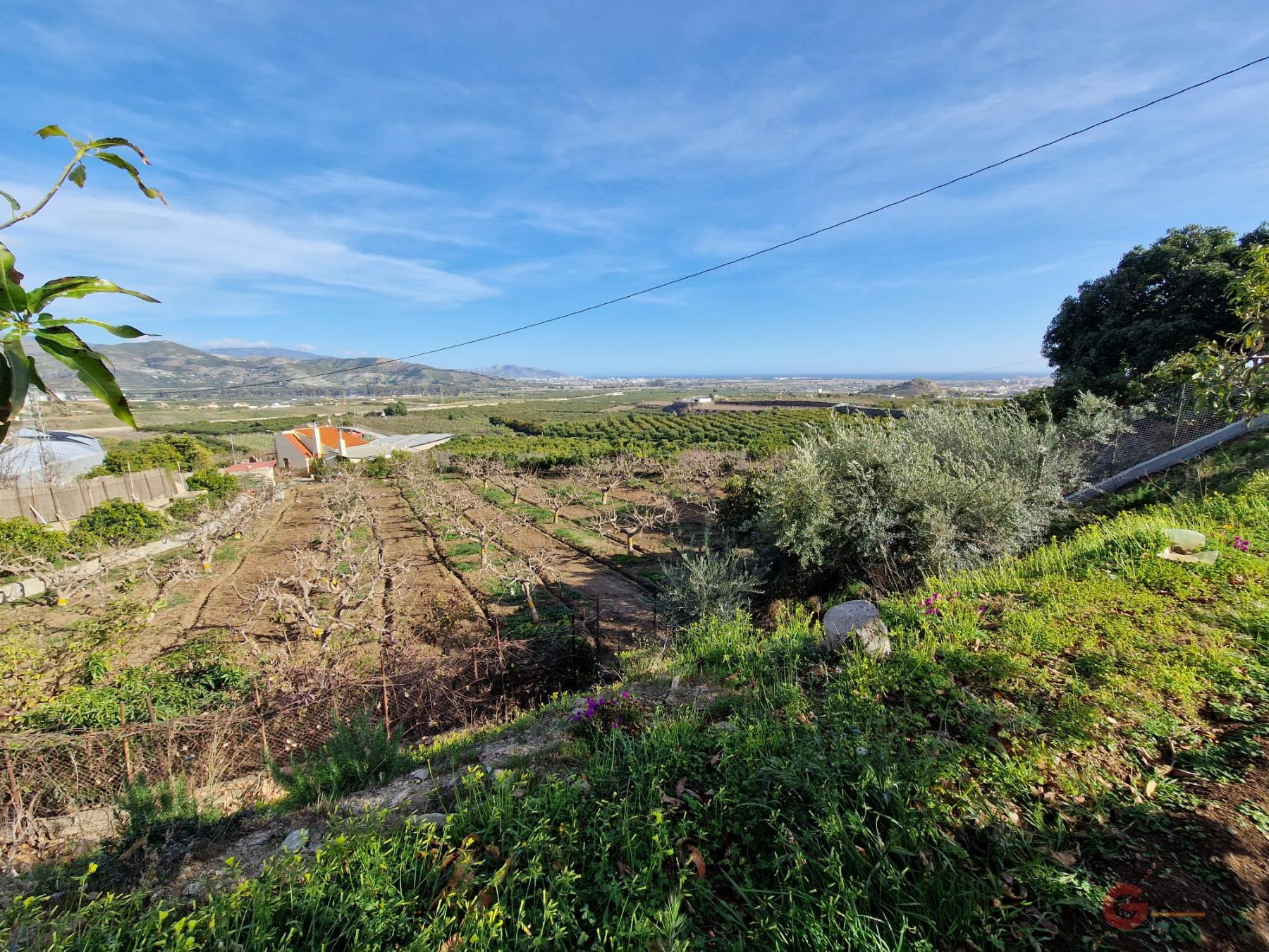 Venta de finca rústica en Salobreña