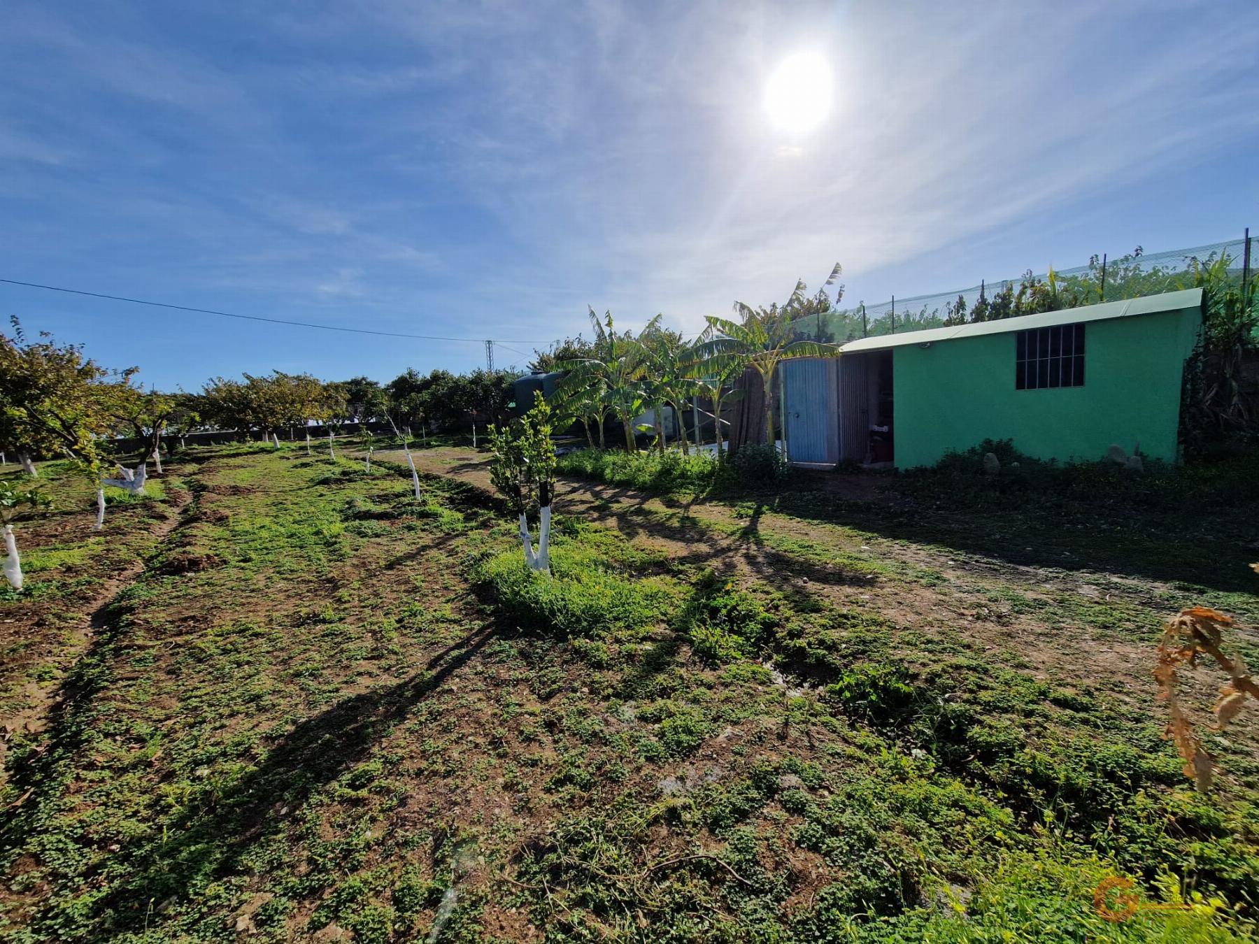 Venta de finca rústica en Salobreña