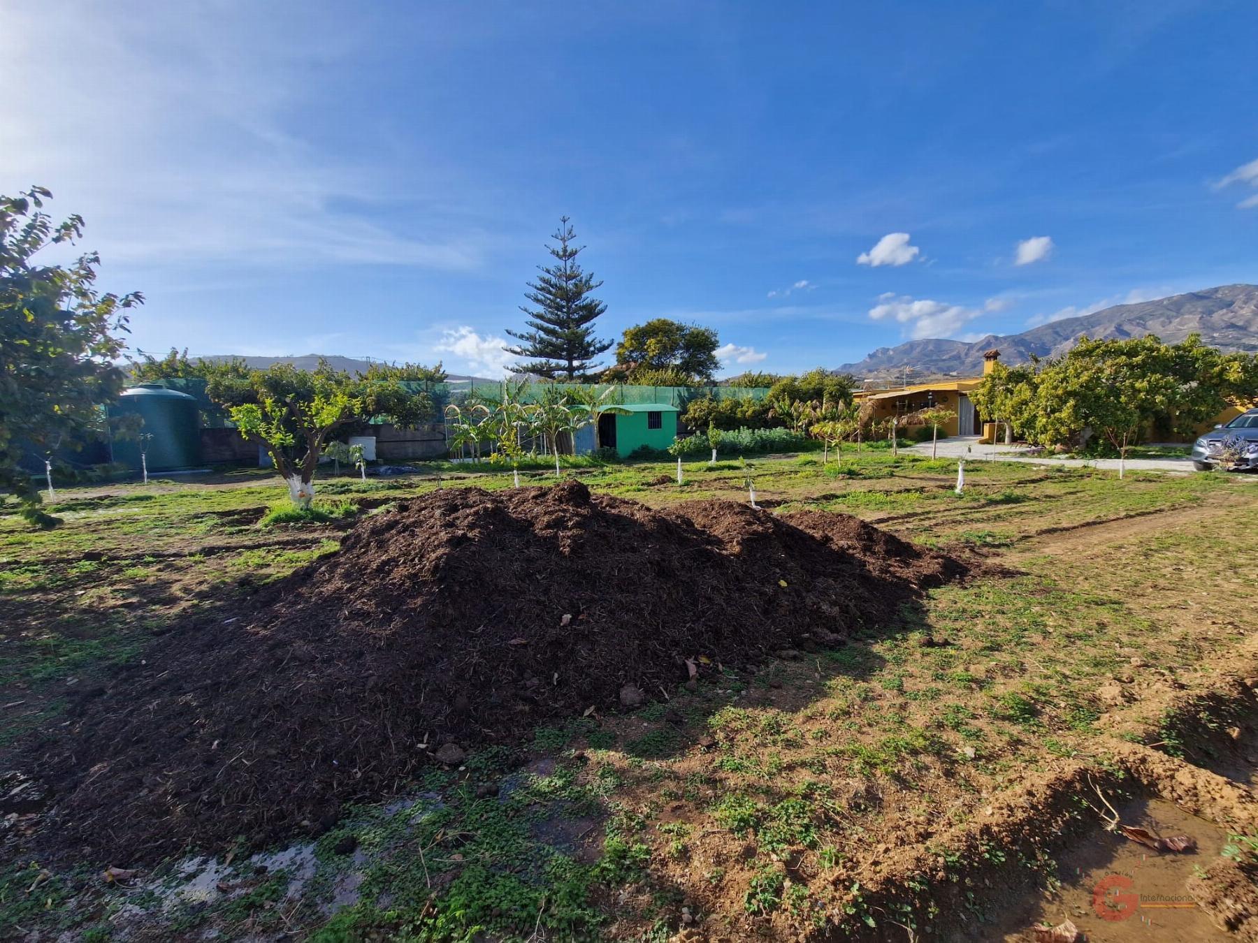 Venta de finca rústica en Salobreña