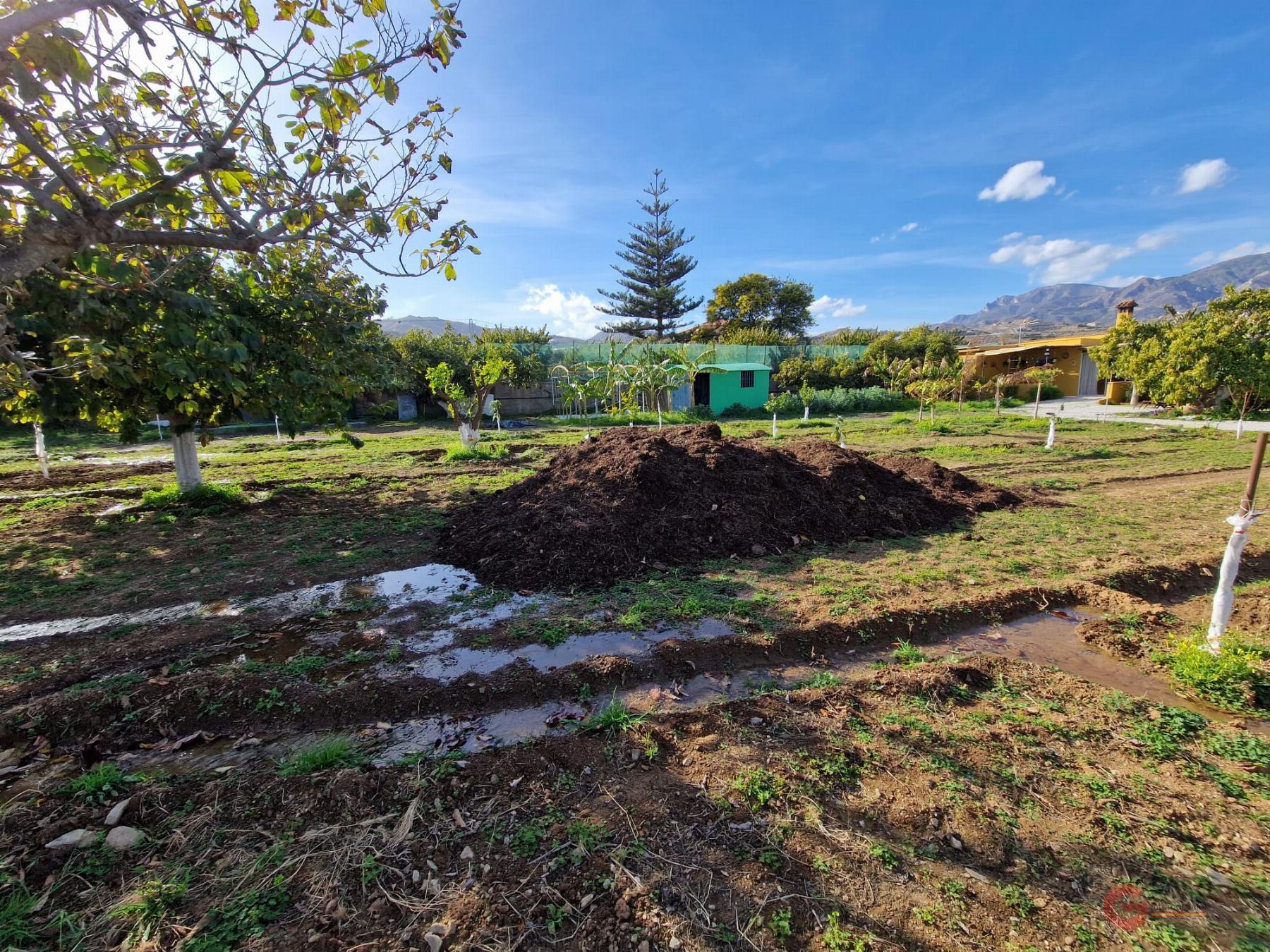 Venta de finca rústica en Salobreña