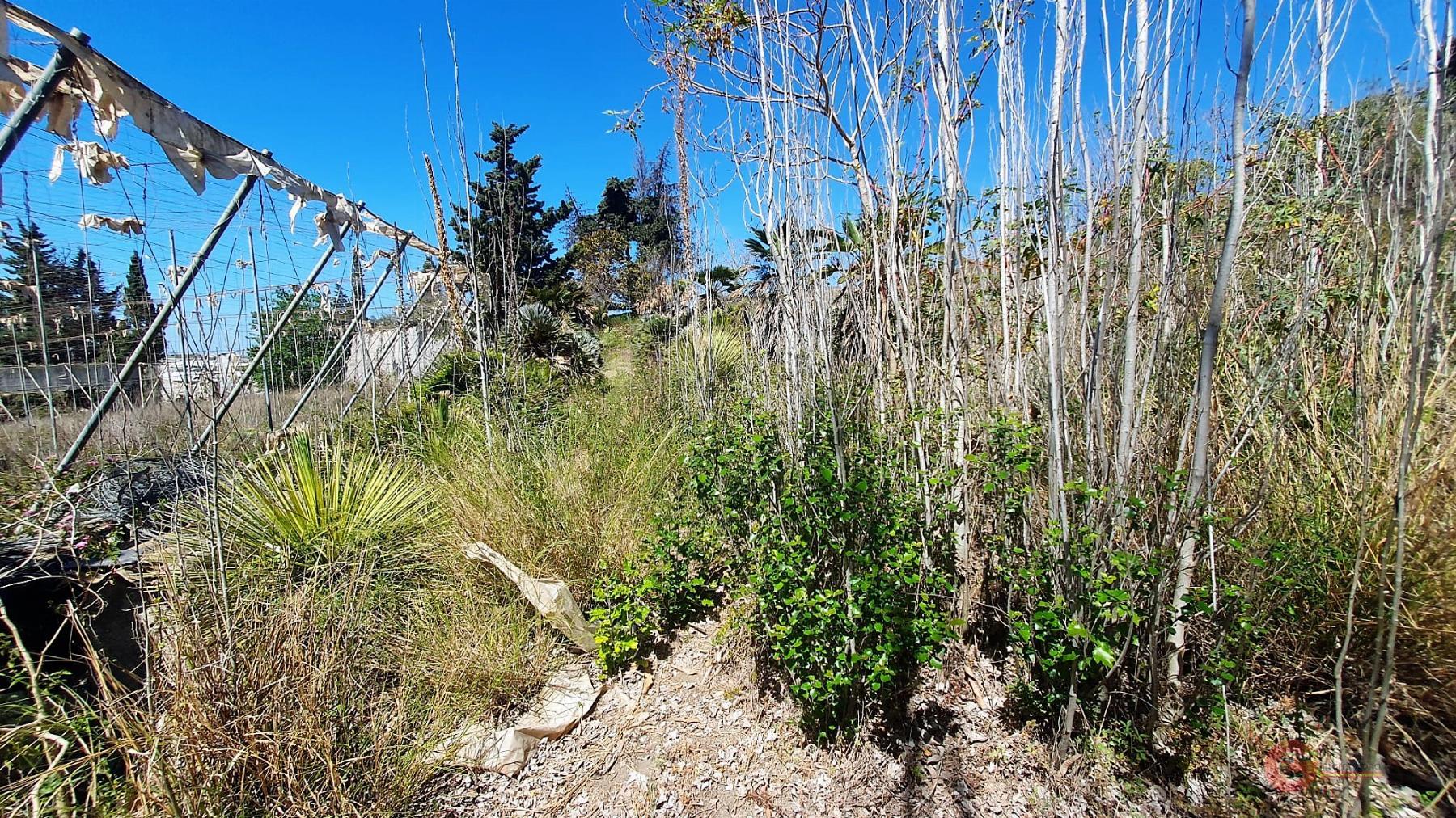 For sale of land in Motril