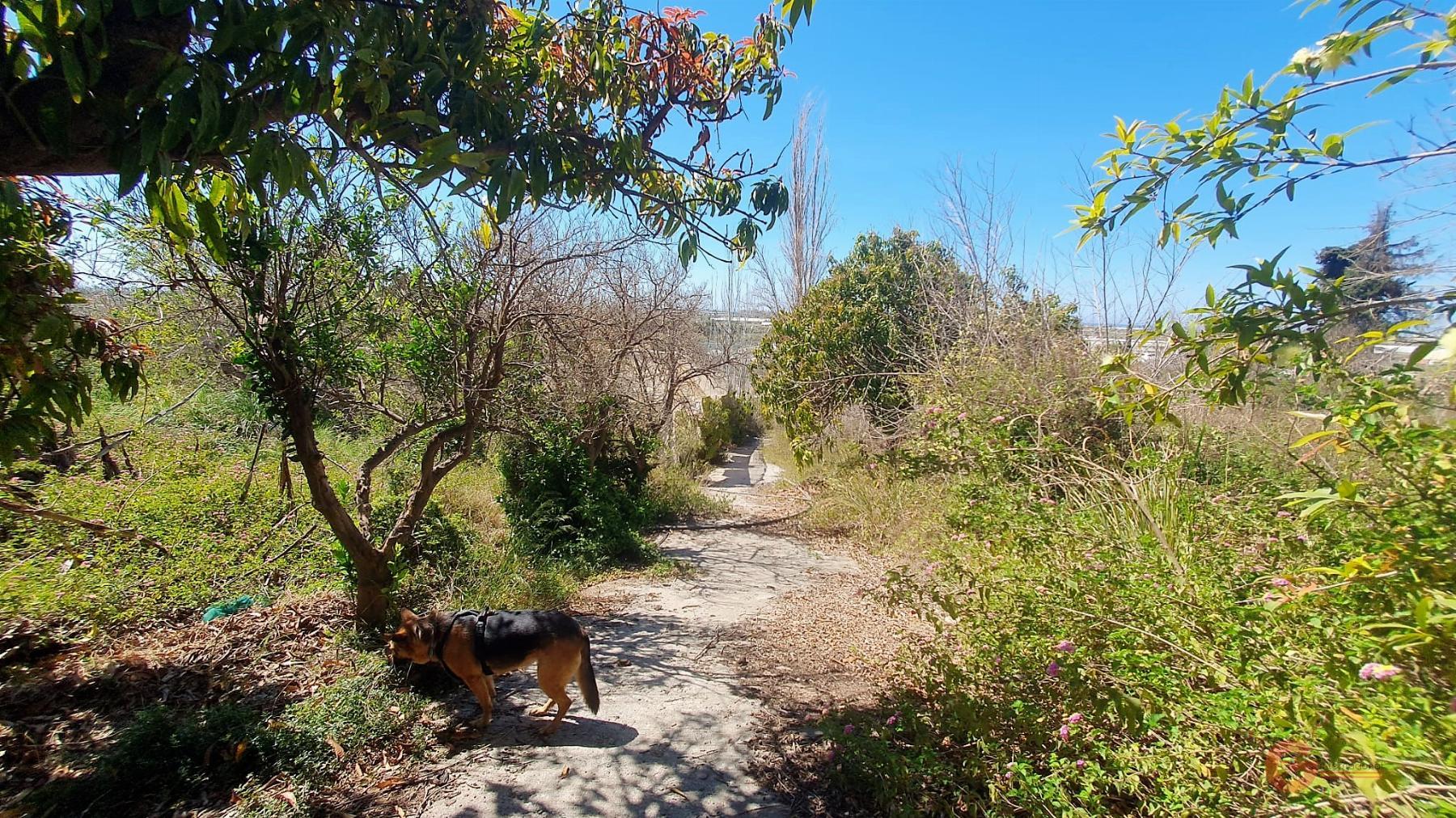 For sale of land in Motril