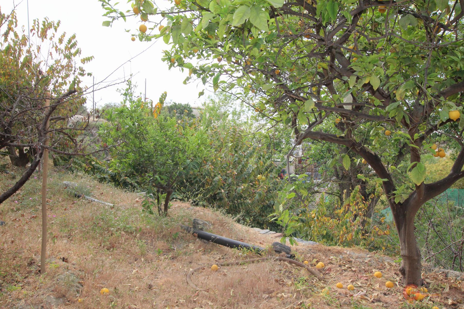 Vendita di casa in Molvízar