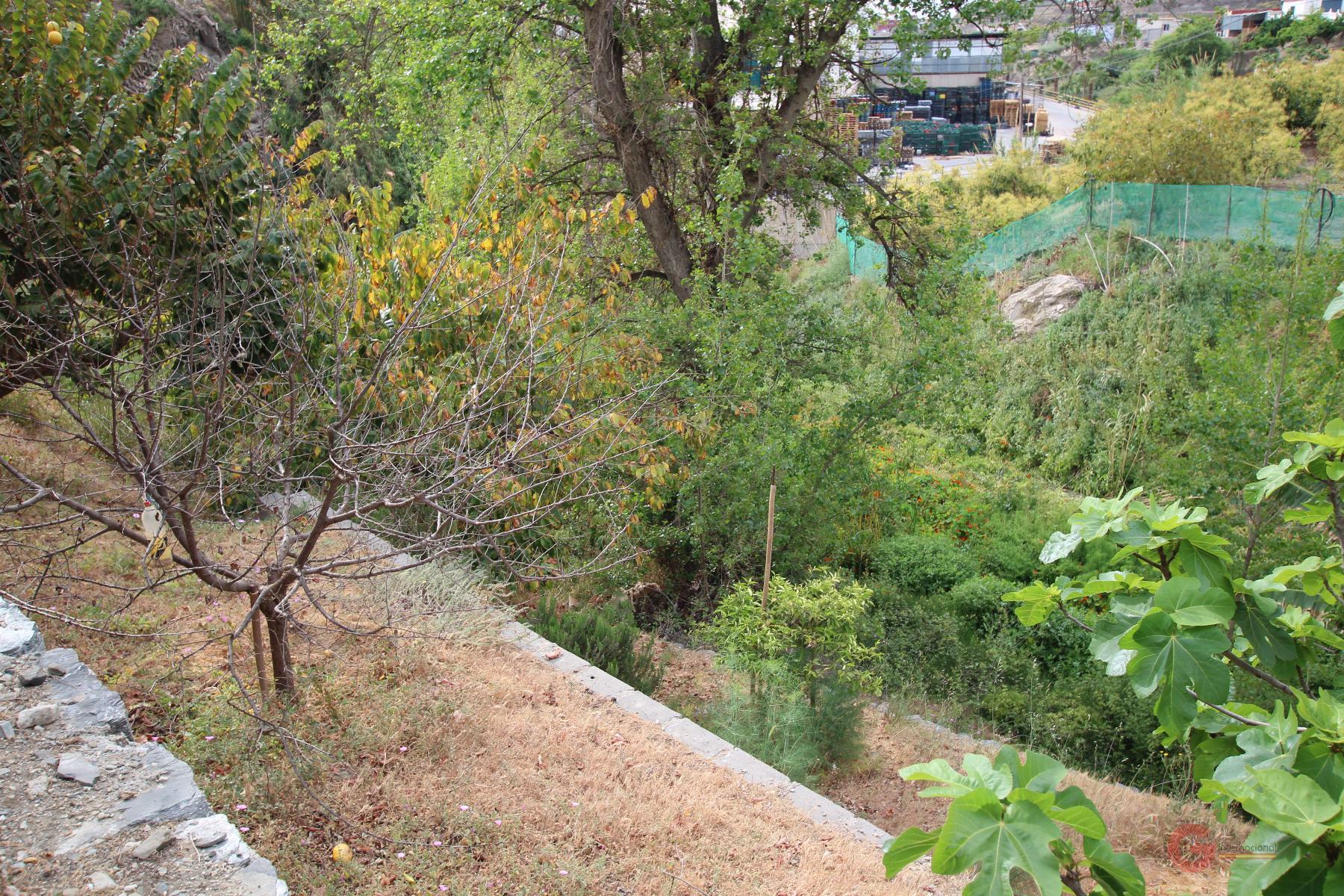 Vendita di casa in Molvízar