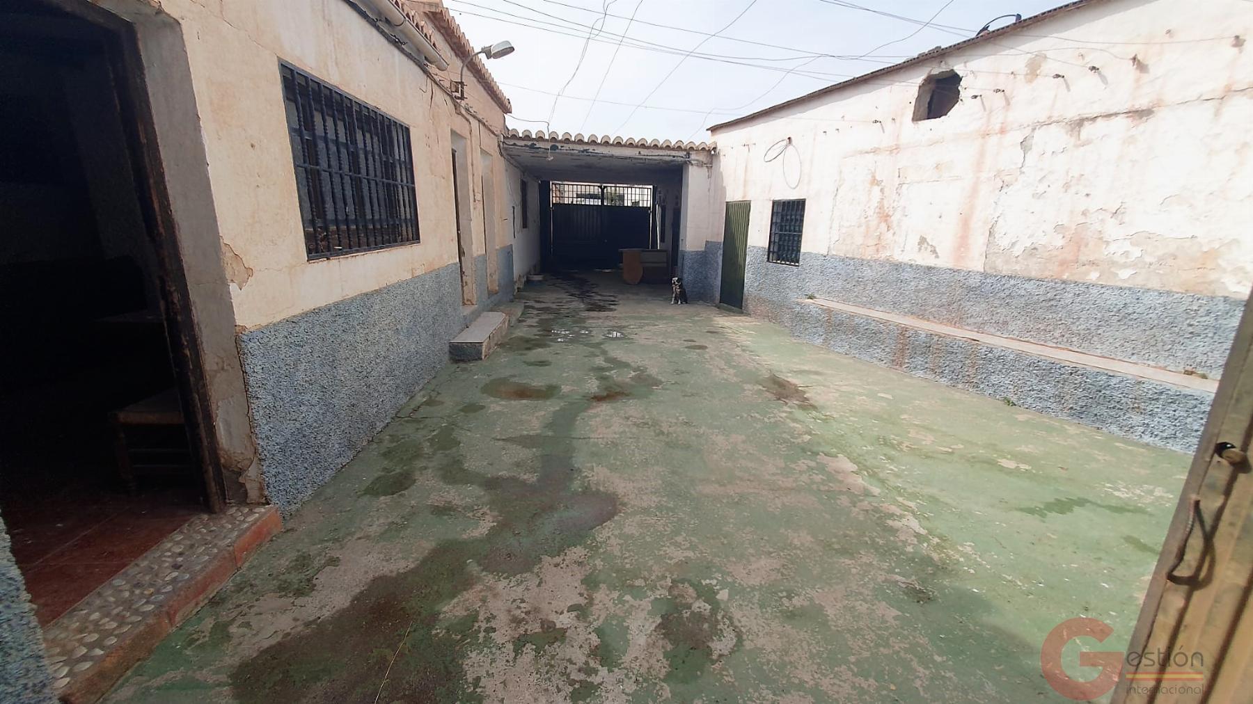 Venta de finca rústica en Motril Venta de finca rústica en Motril