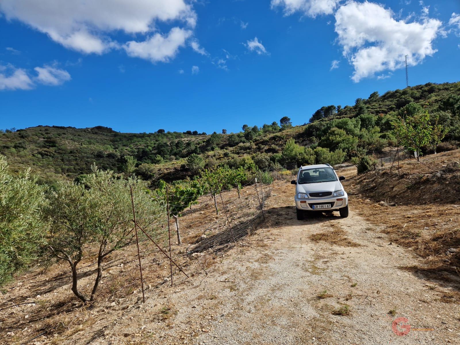 Venta de finca rústica en Molvízar