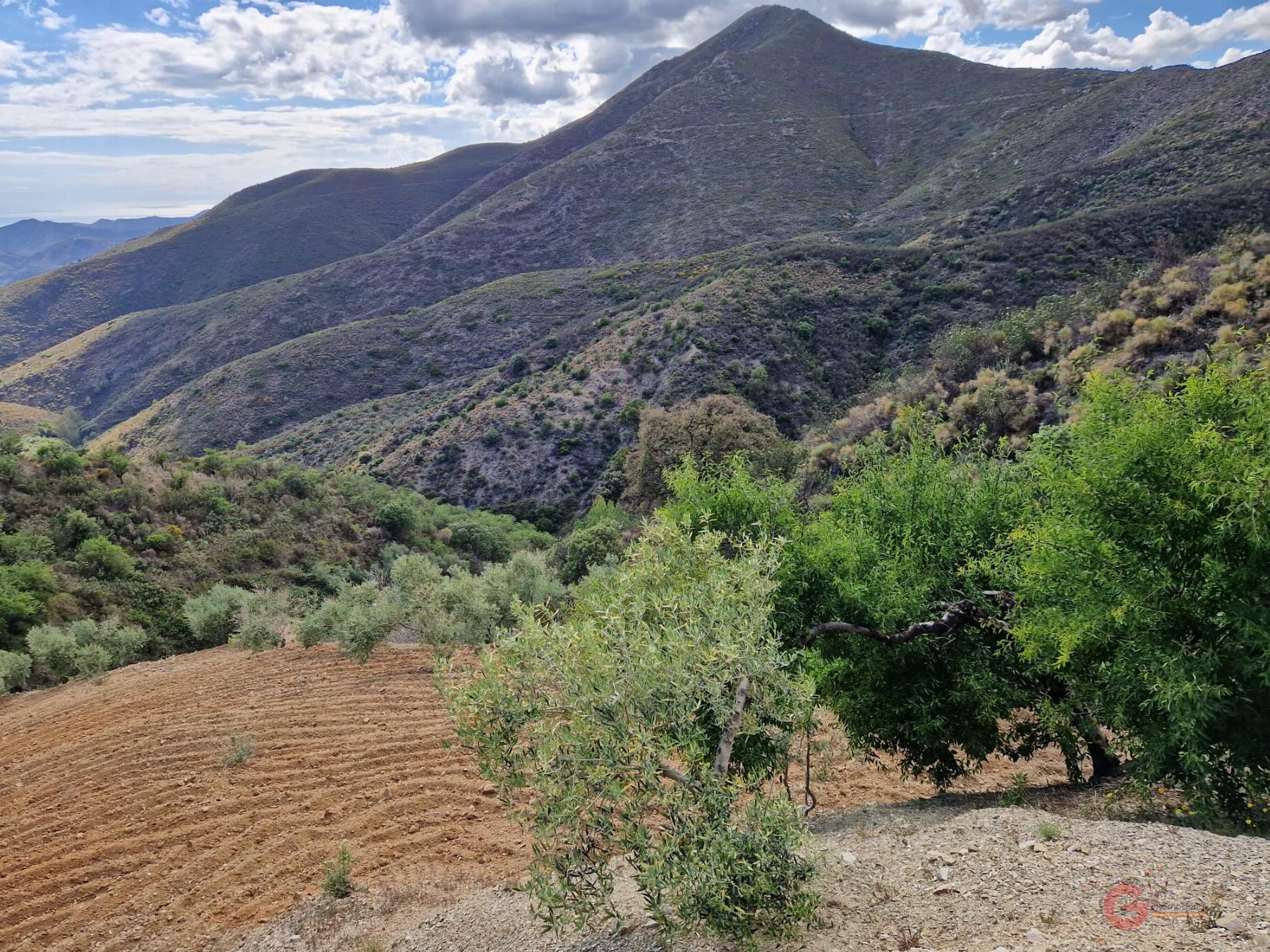 For sale of rural property in Molvízar