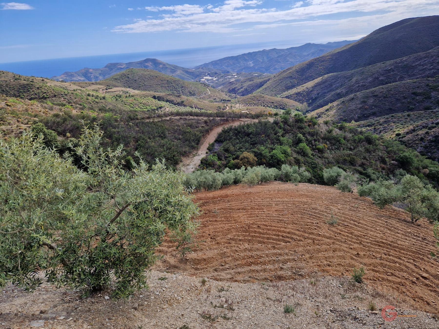 For sale of rural property in Molvízar