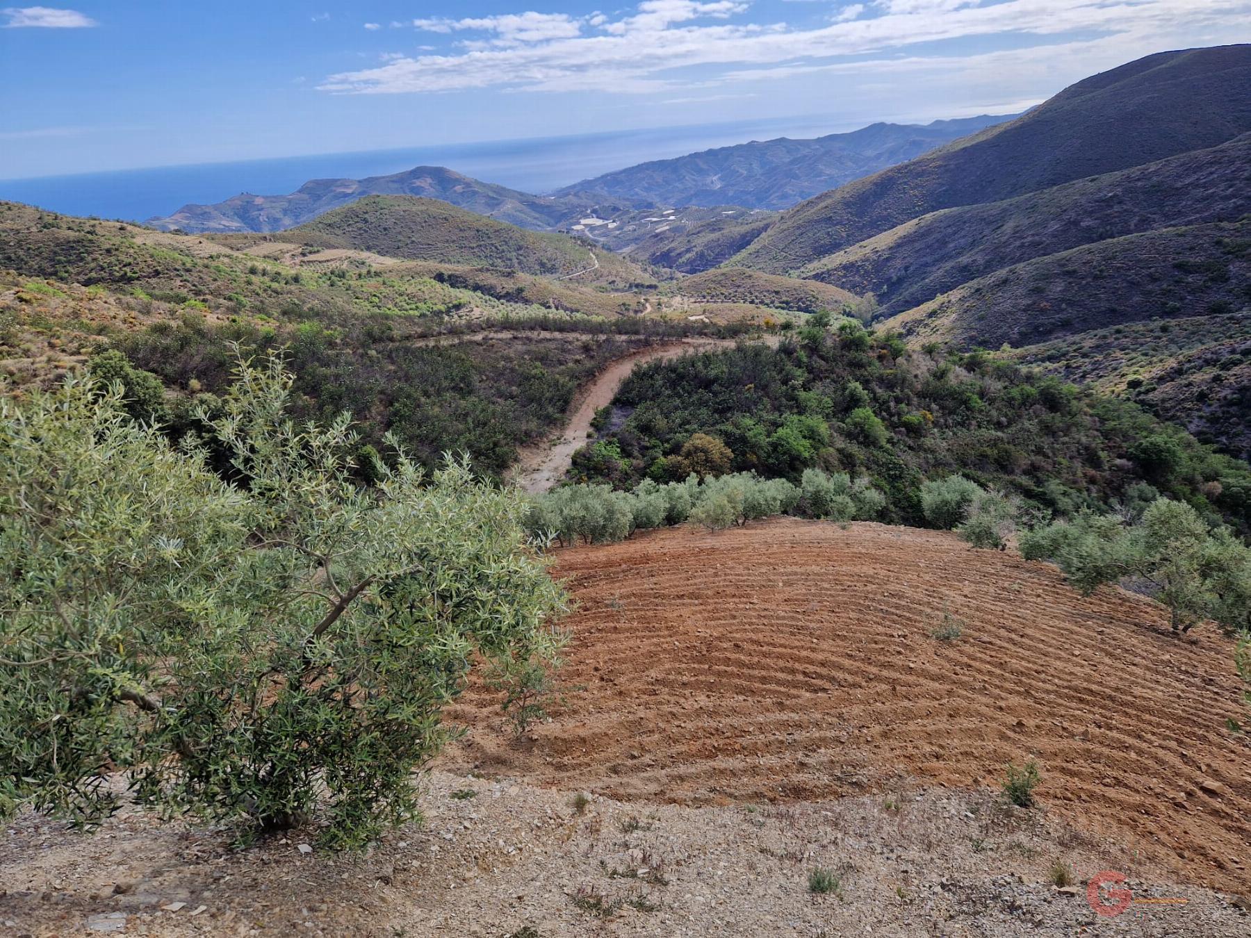 Venta de finca rústica en Molvízar