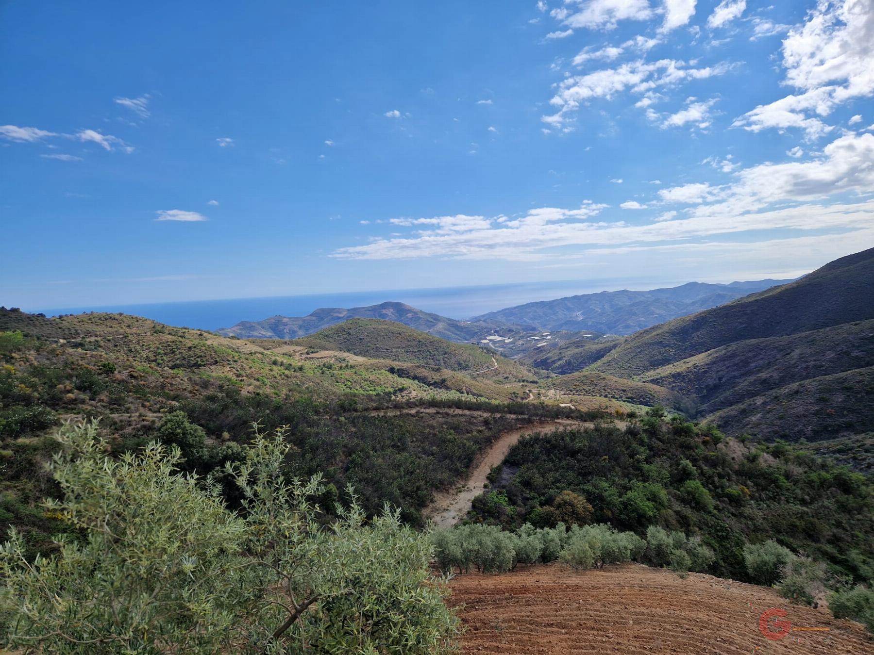 Venta de finca rústica en Molvízar