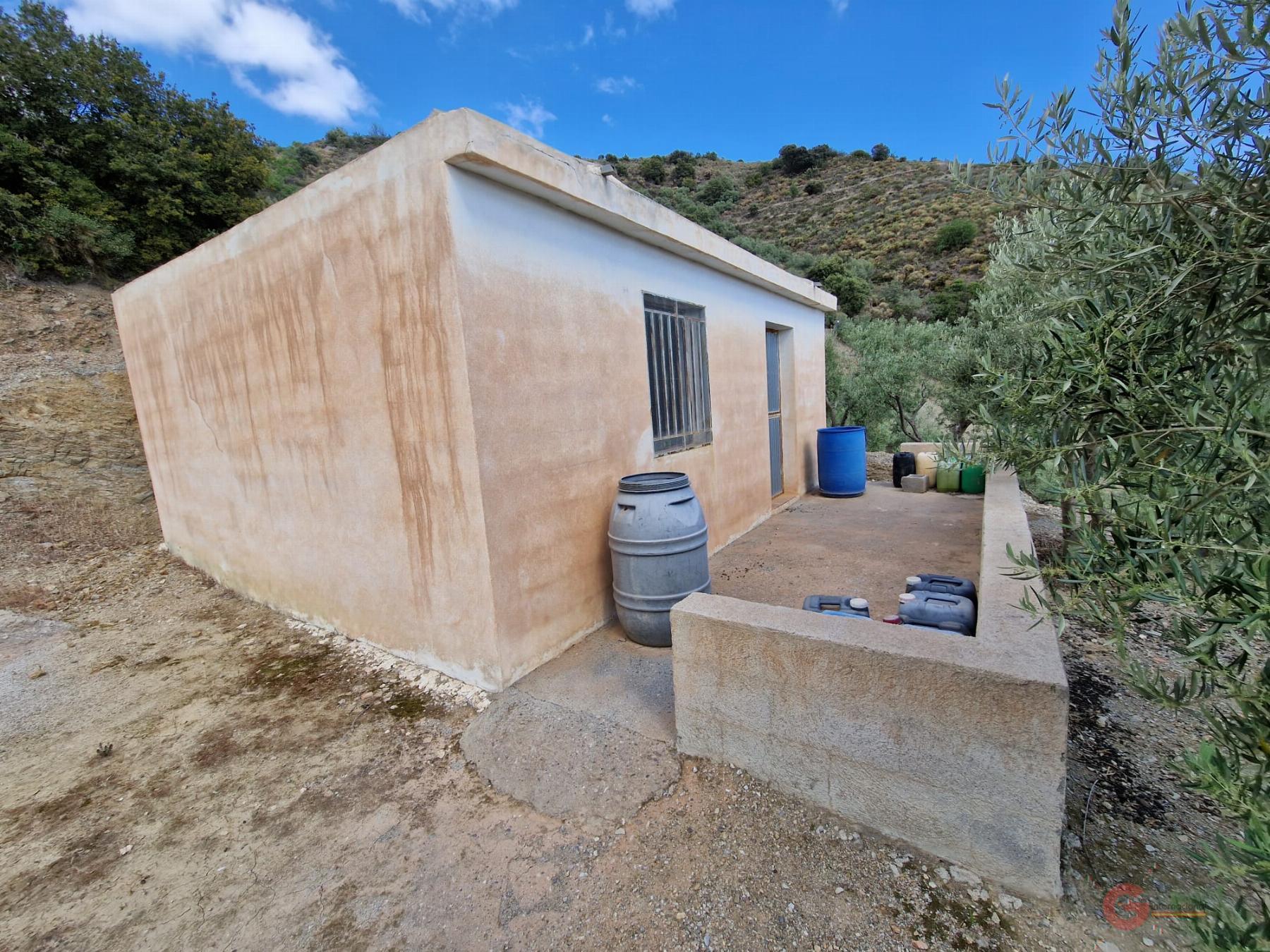 For sale of rural property in Molvízar
