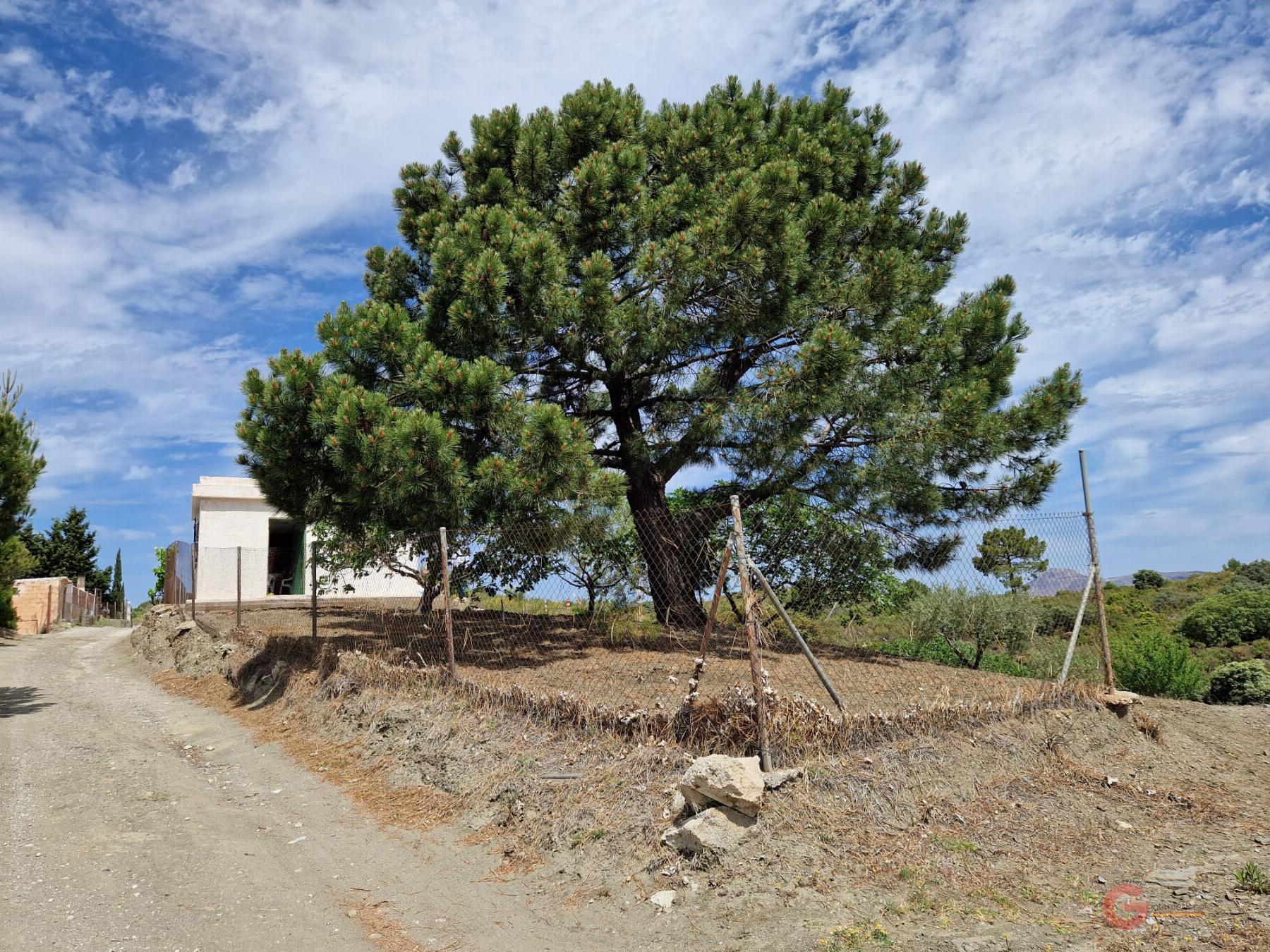 For sale of rural property in Molvízar