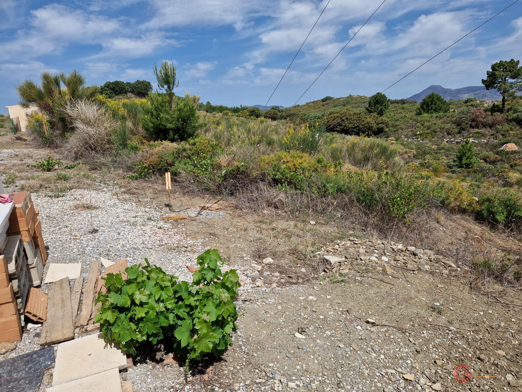 For sale of rural property in Molvízar