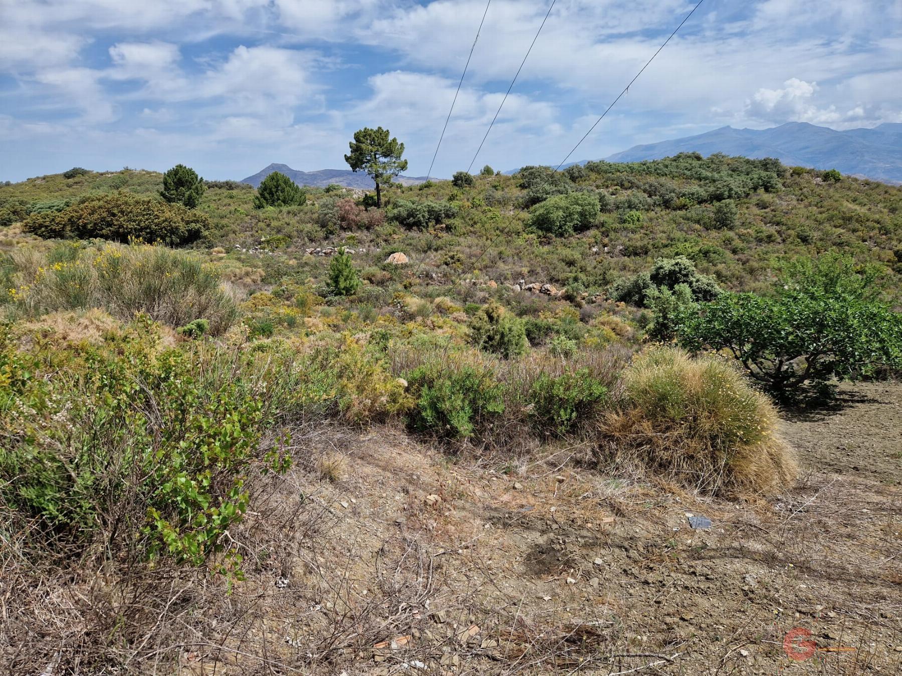 For sale of rural property in Molvízar