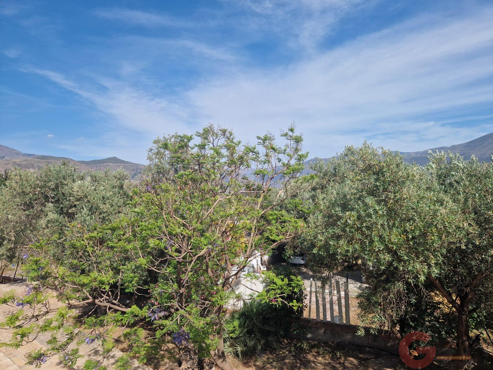 Venta de chalet en Órgiva Venta de chalet en Órgiva