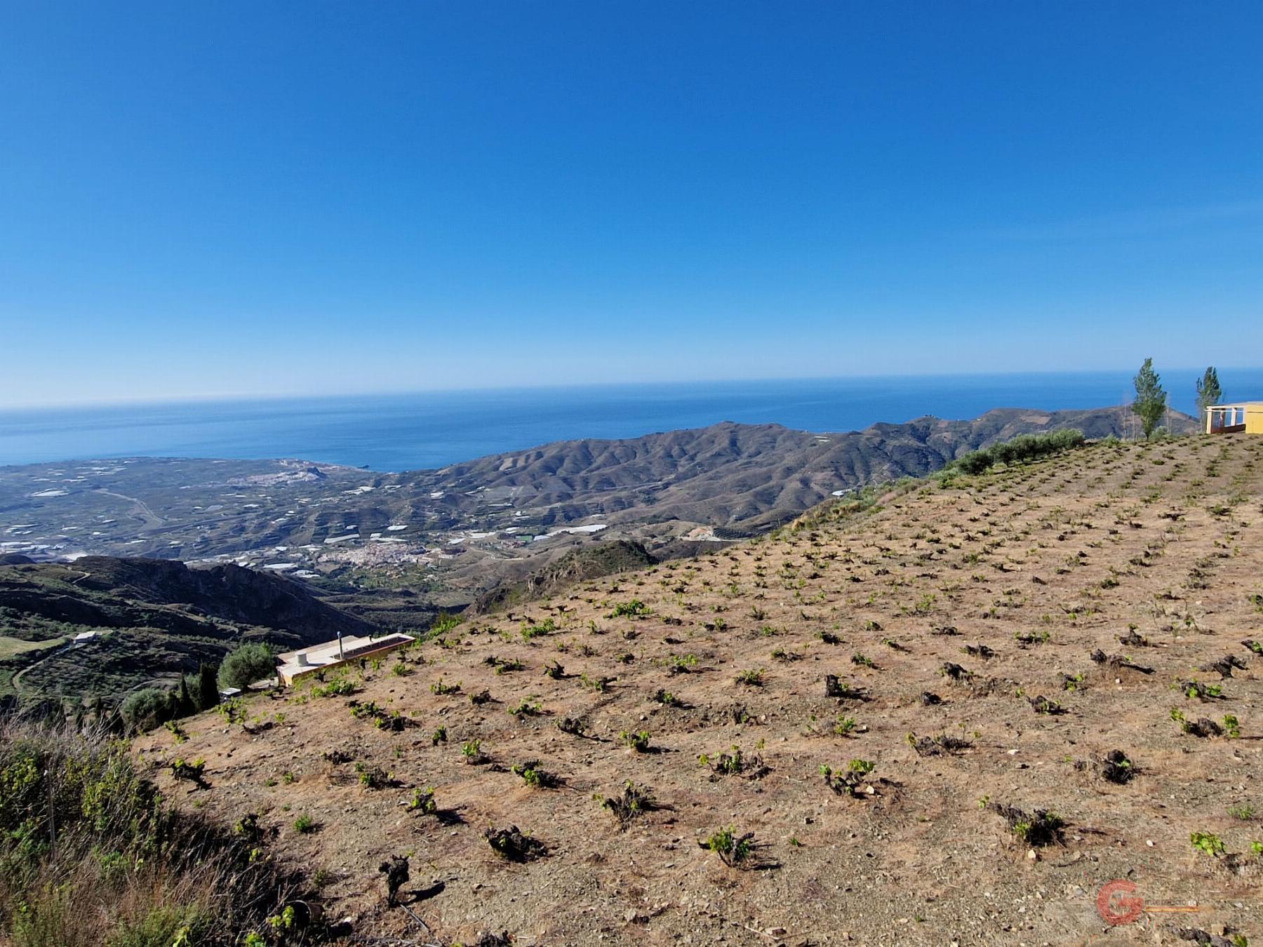 Venta de finca rústica en Molvízar