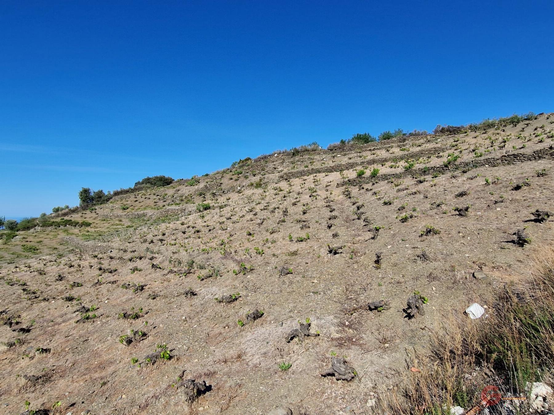 Venta de finca rústica en Molvízar