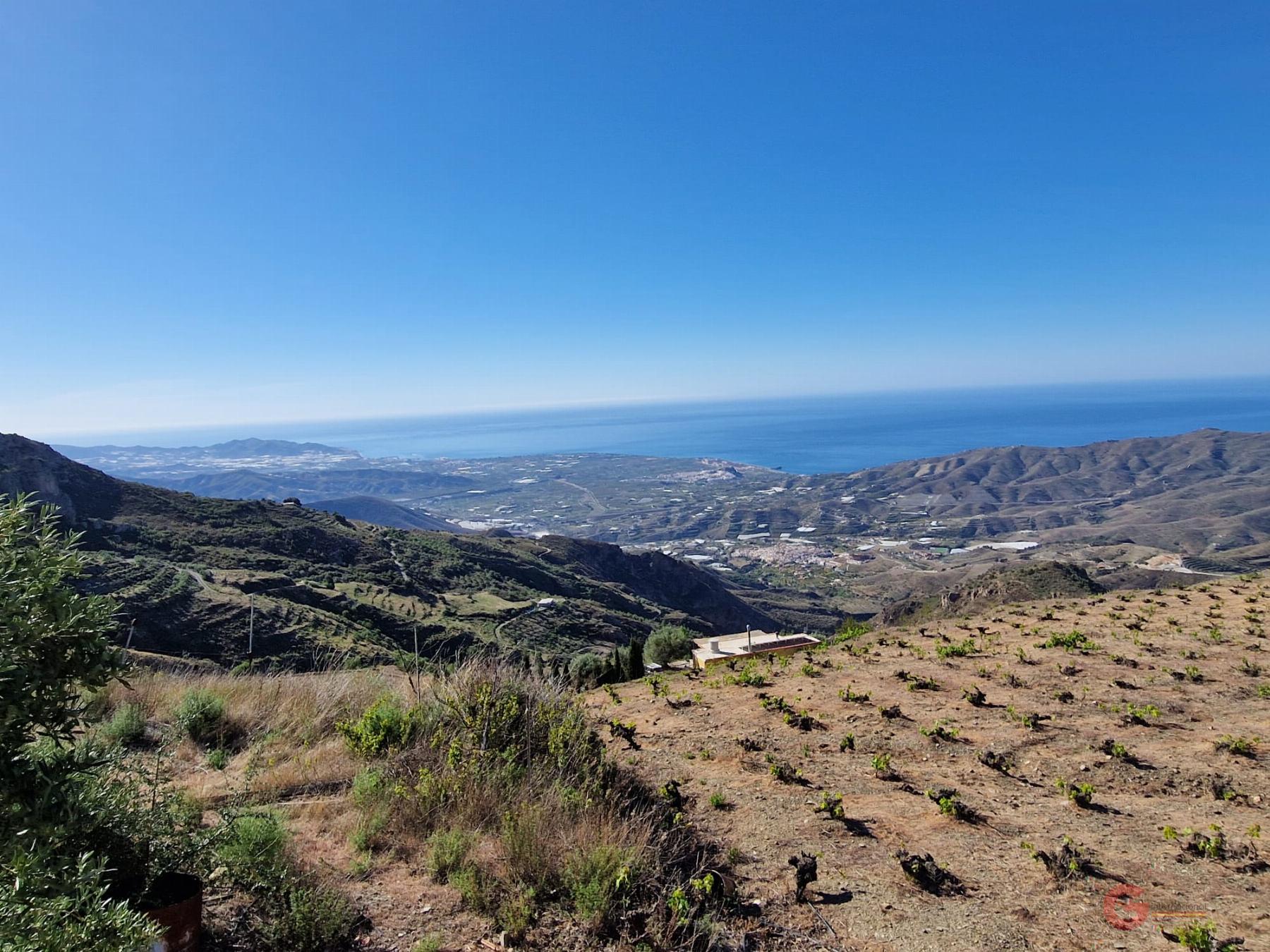 For sale of rural property in Molvízar