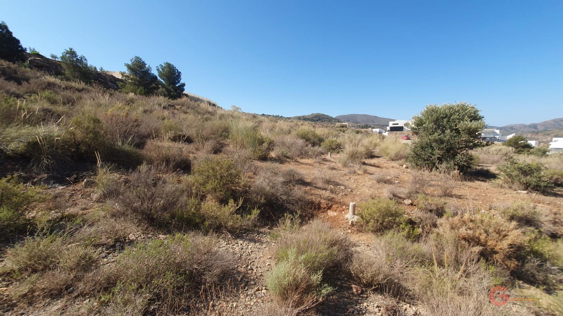 For sale of land in Vélez de Benaudalla