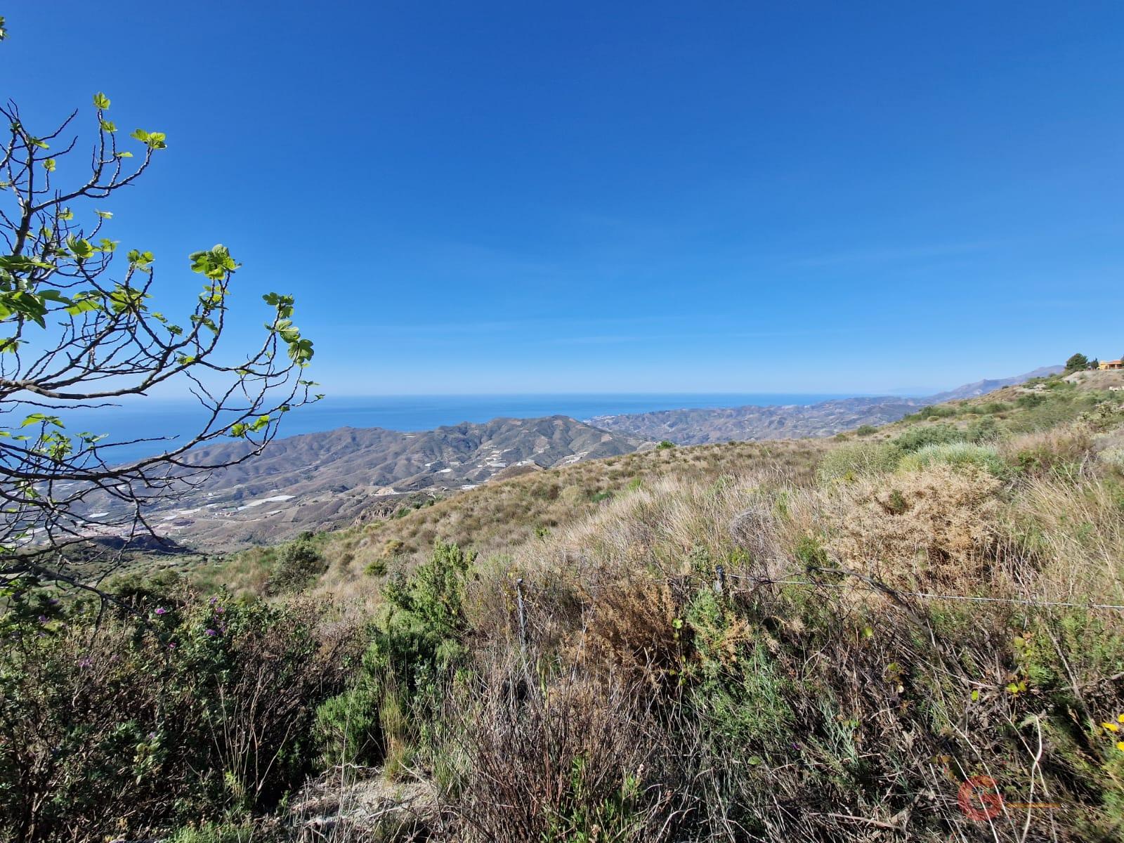 For sale of rural property in Molvízar