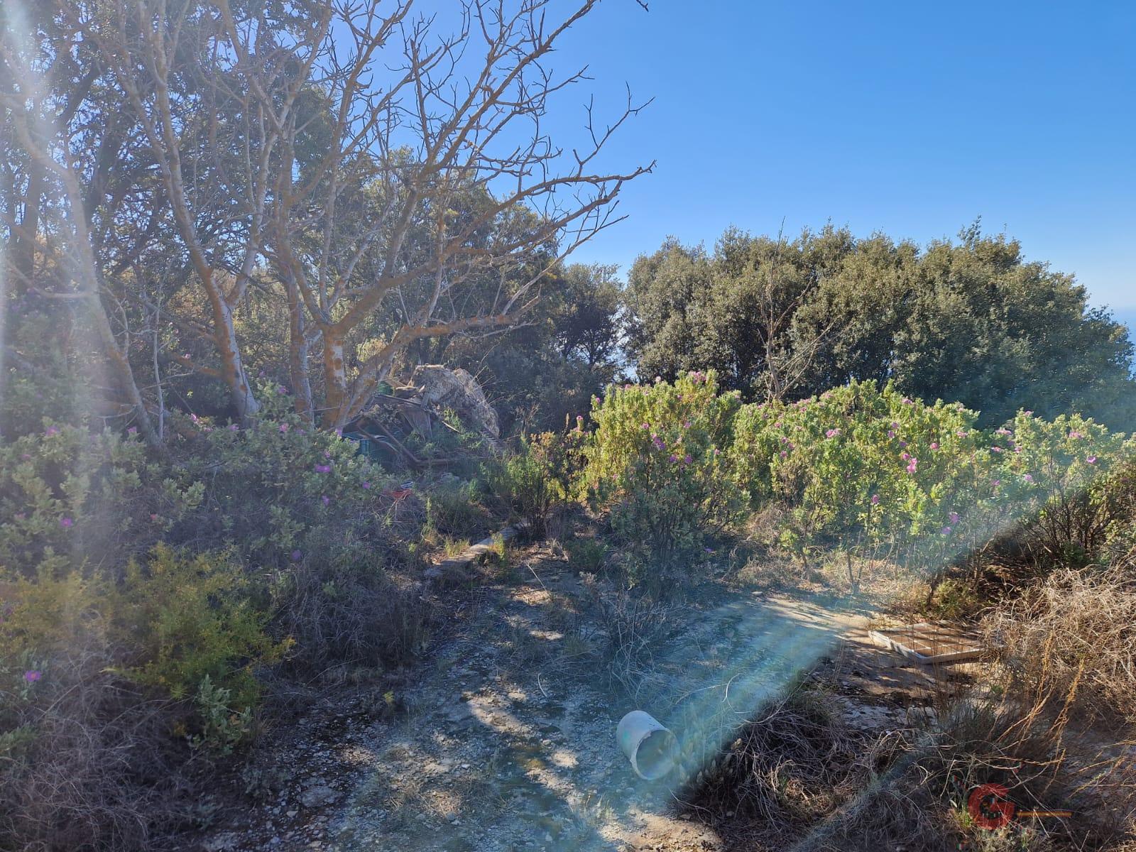 For sale of rural property in Molvízar