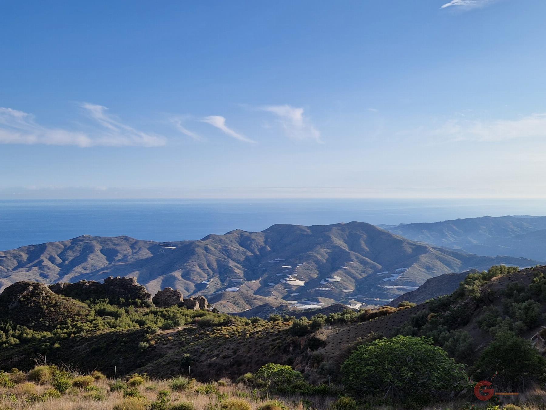 Venta de finca rústica en Molvízar