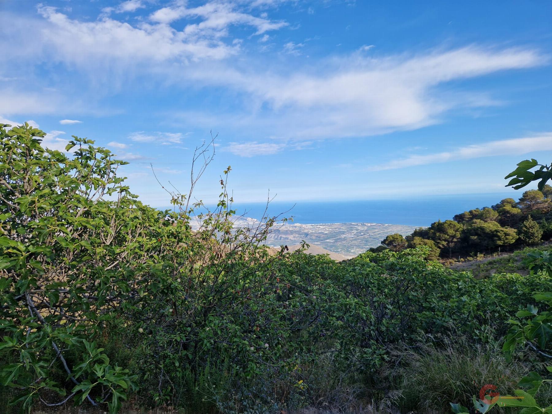 Venta de finca rústica en Molvízar