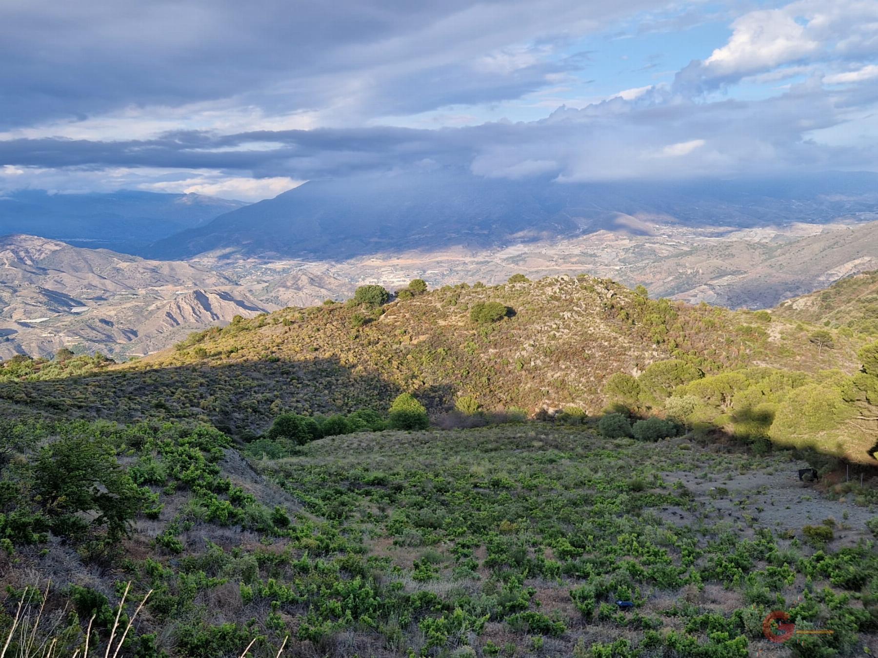 Venta de finca rústica en Molvízar