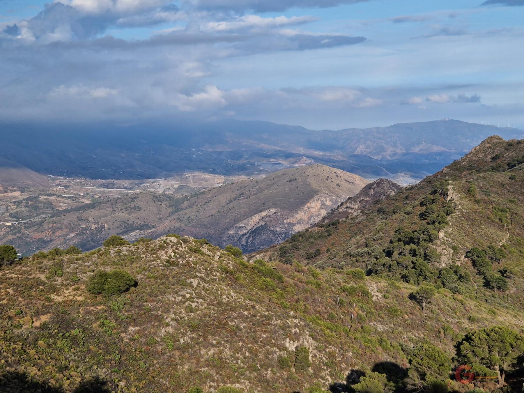 Venta de finca rústica en Molvízar