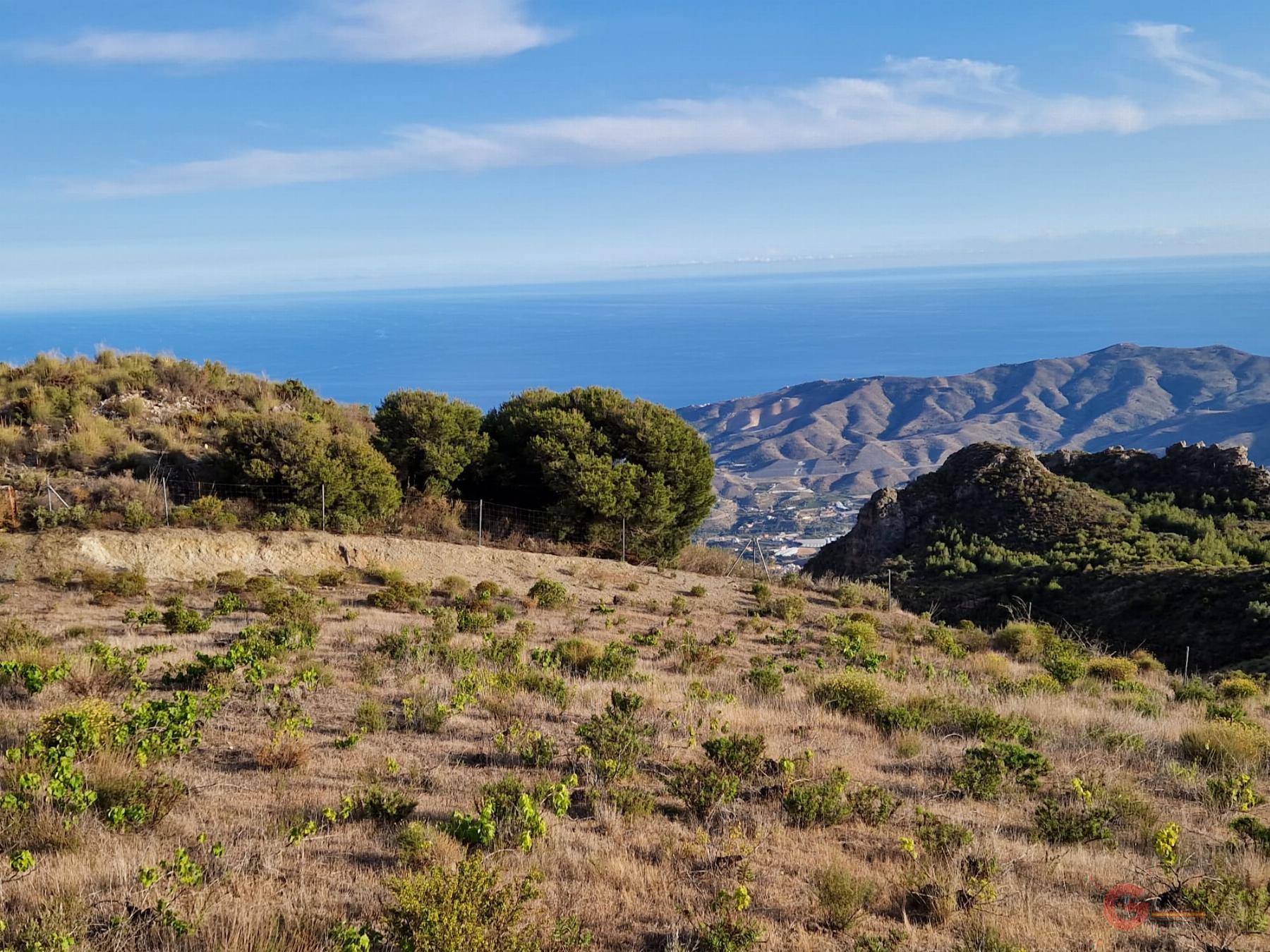 Venta de finca rústica en Molvízar