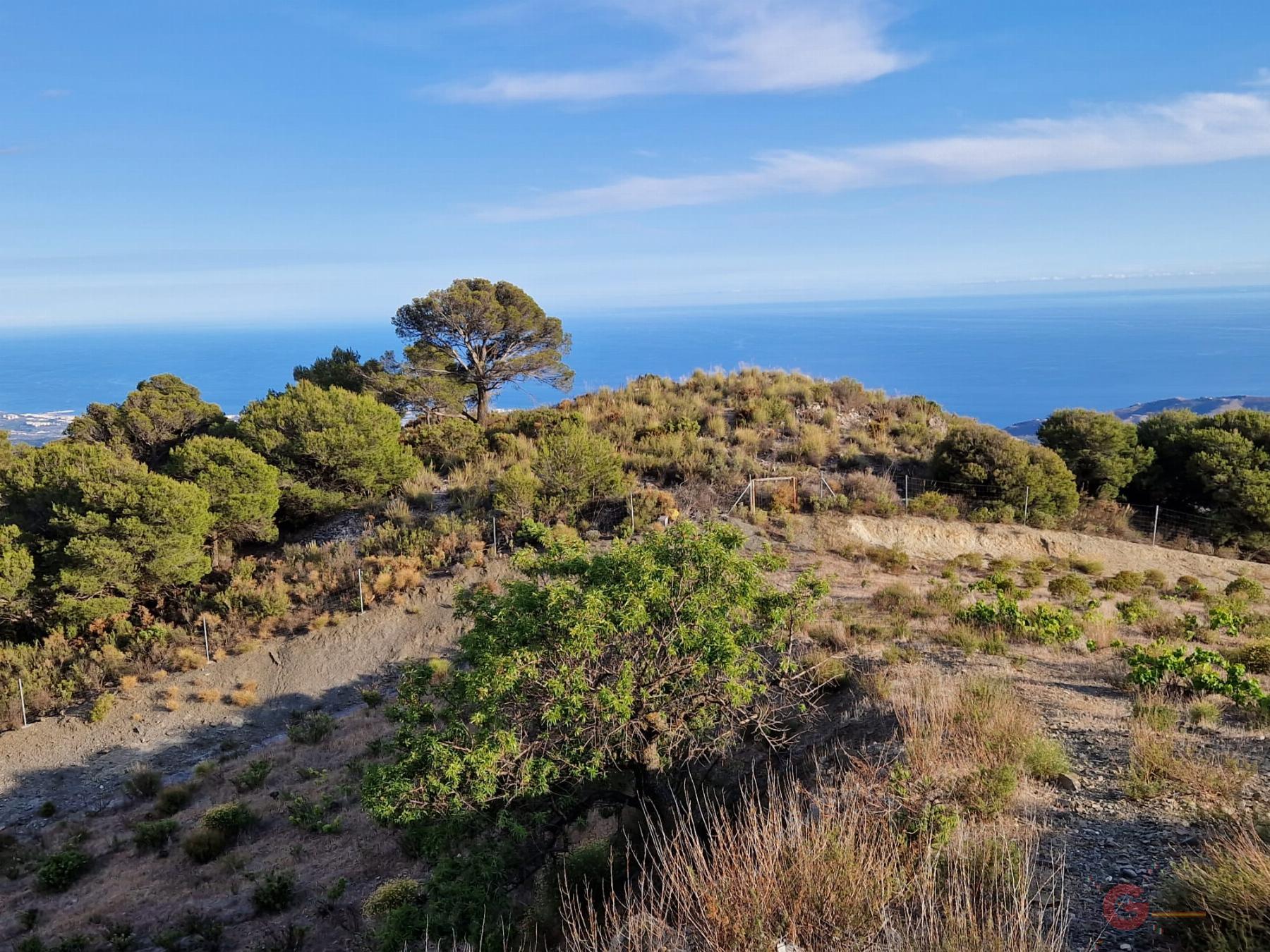 Venta de finca rústica en Molvízar