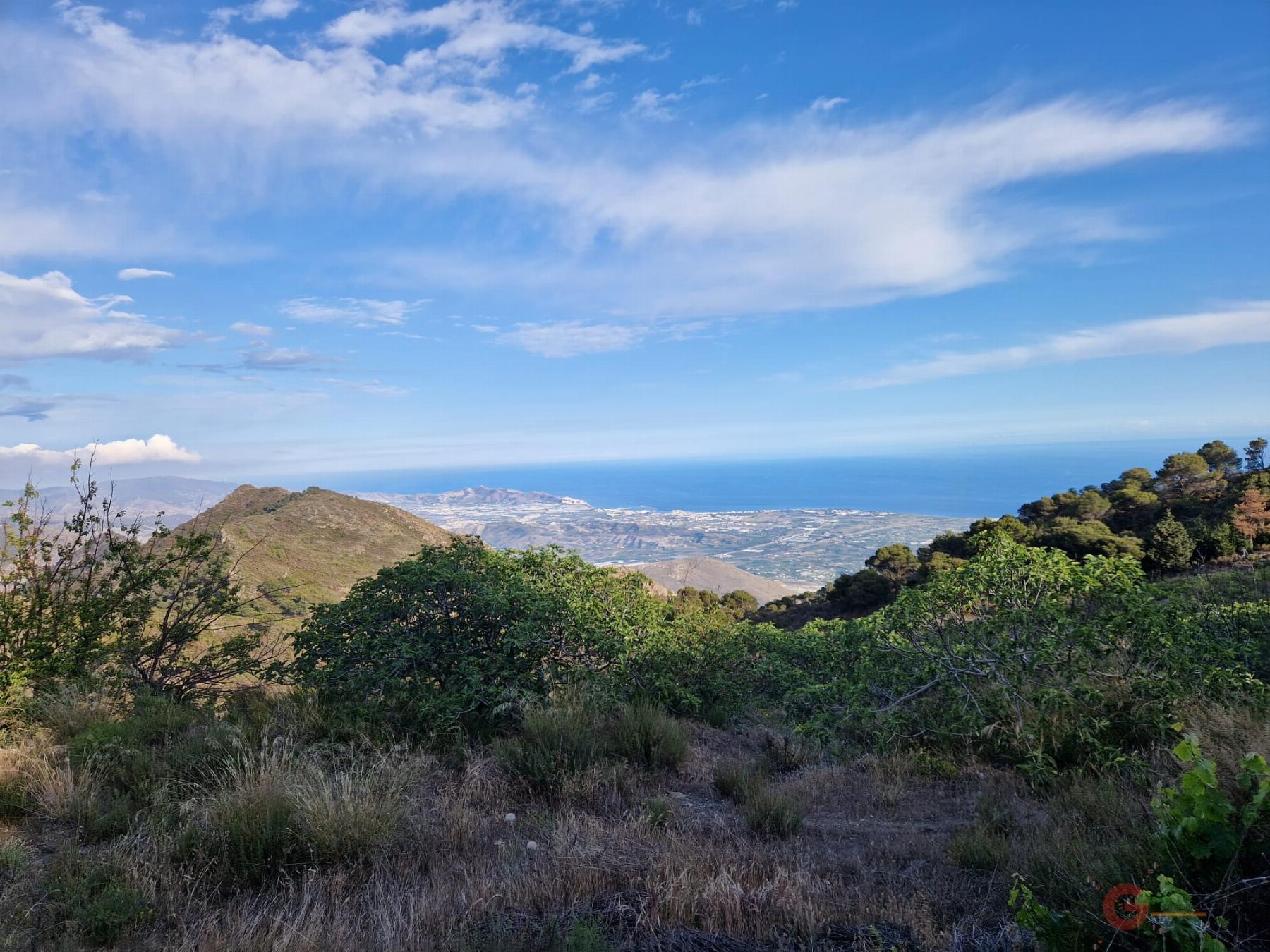 Venta de finca rústica en Molvízar