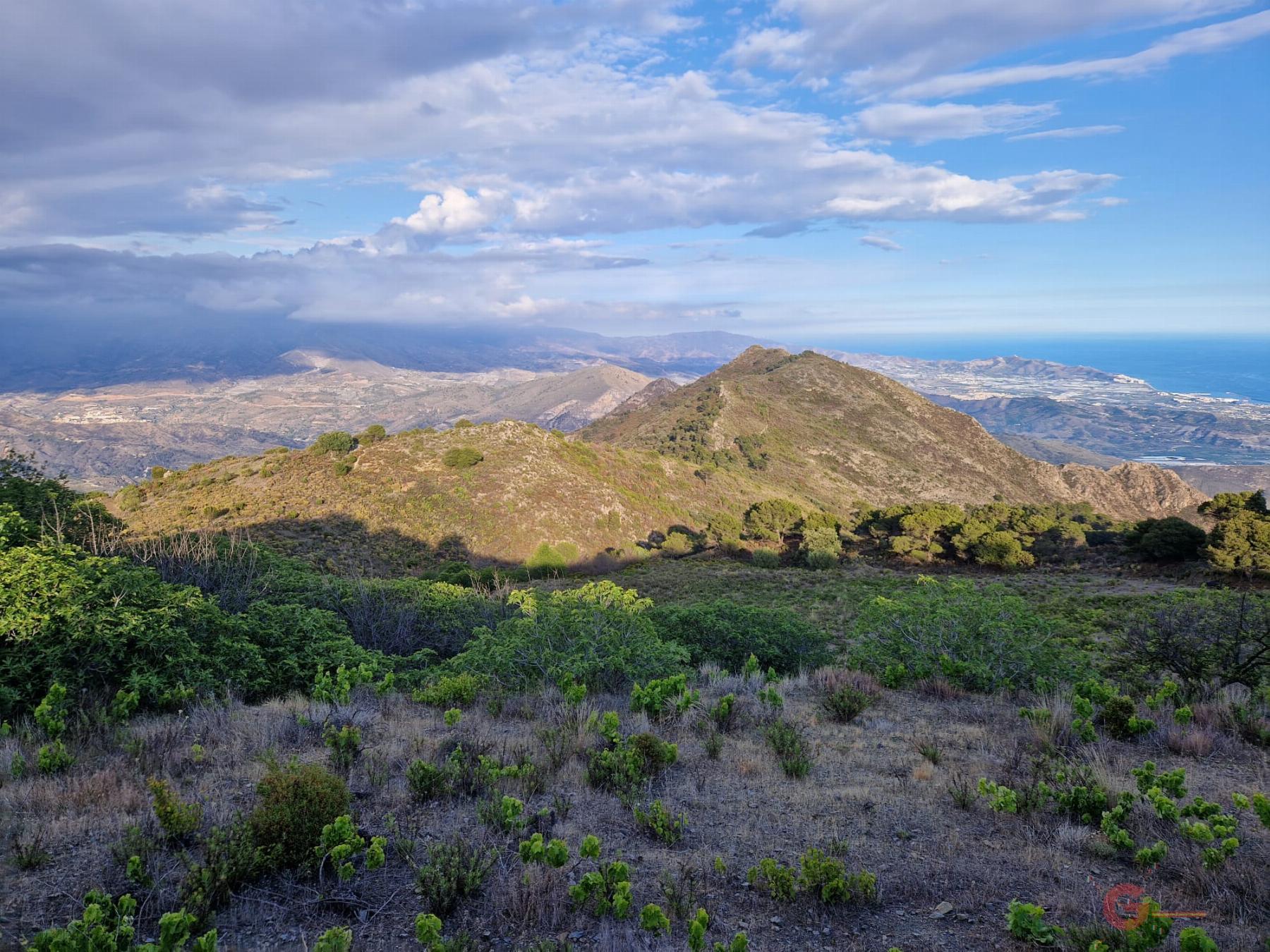 Venta de finca rústica en Molvízar