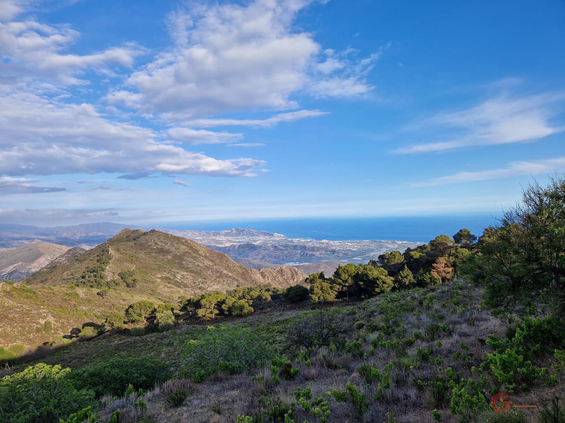 Venta de finca rústica en Molvízar