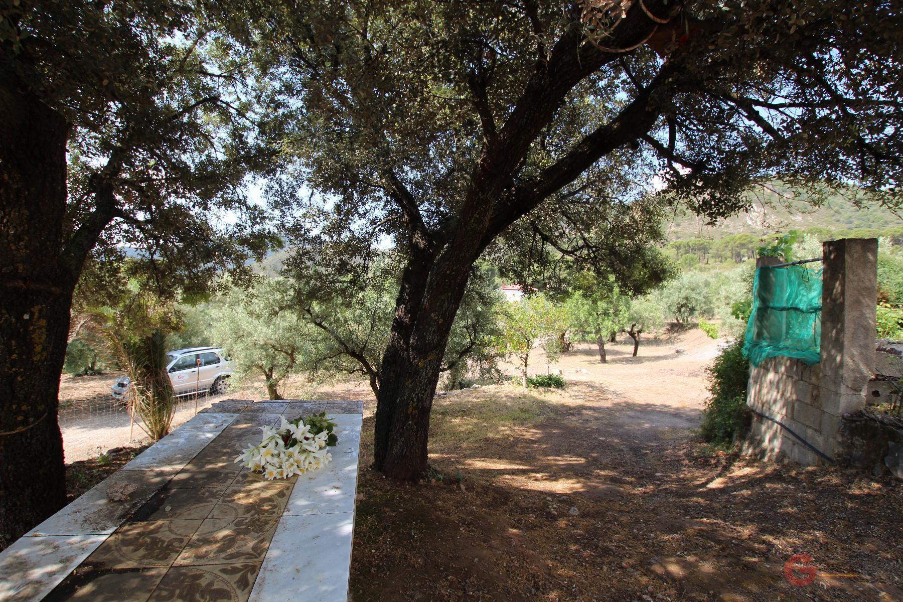 Venta de finca rústica en Guájar Alto