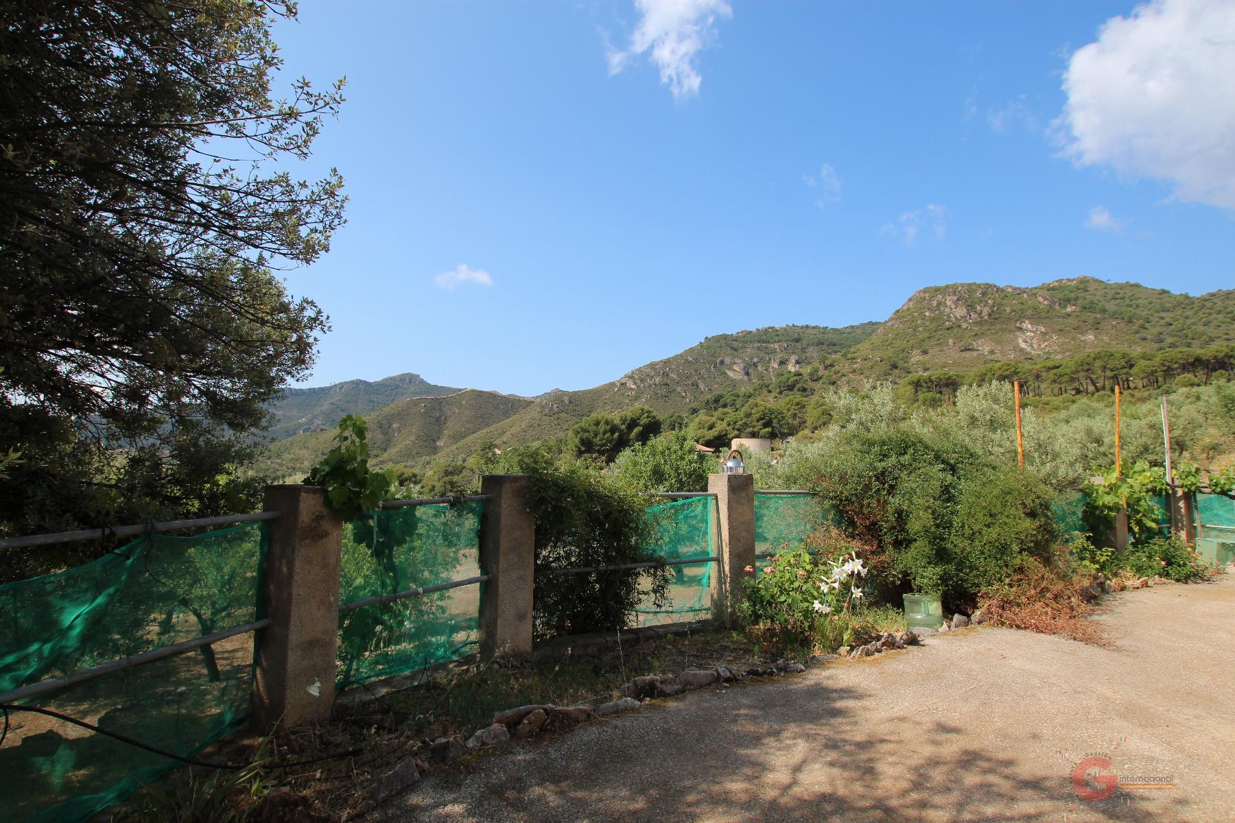 Venta de finca rústica en Guájar Alto