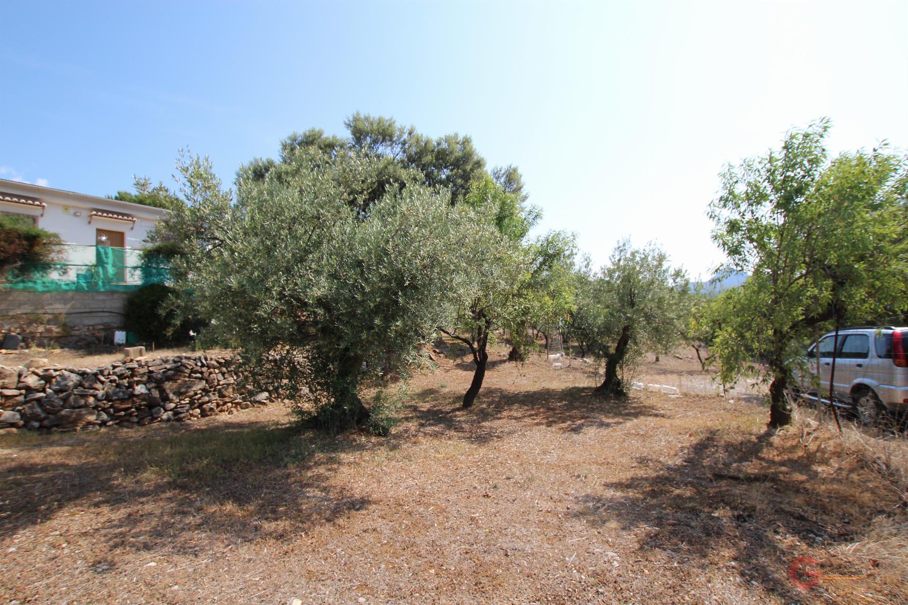 Venta de finca rústica en Guájar Alto