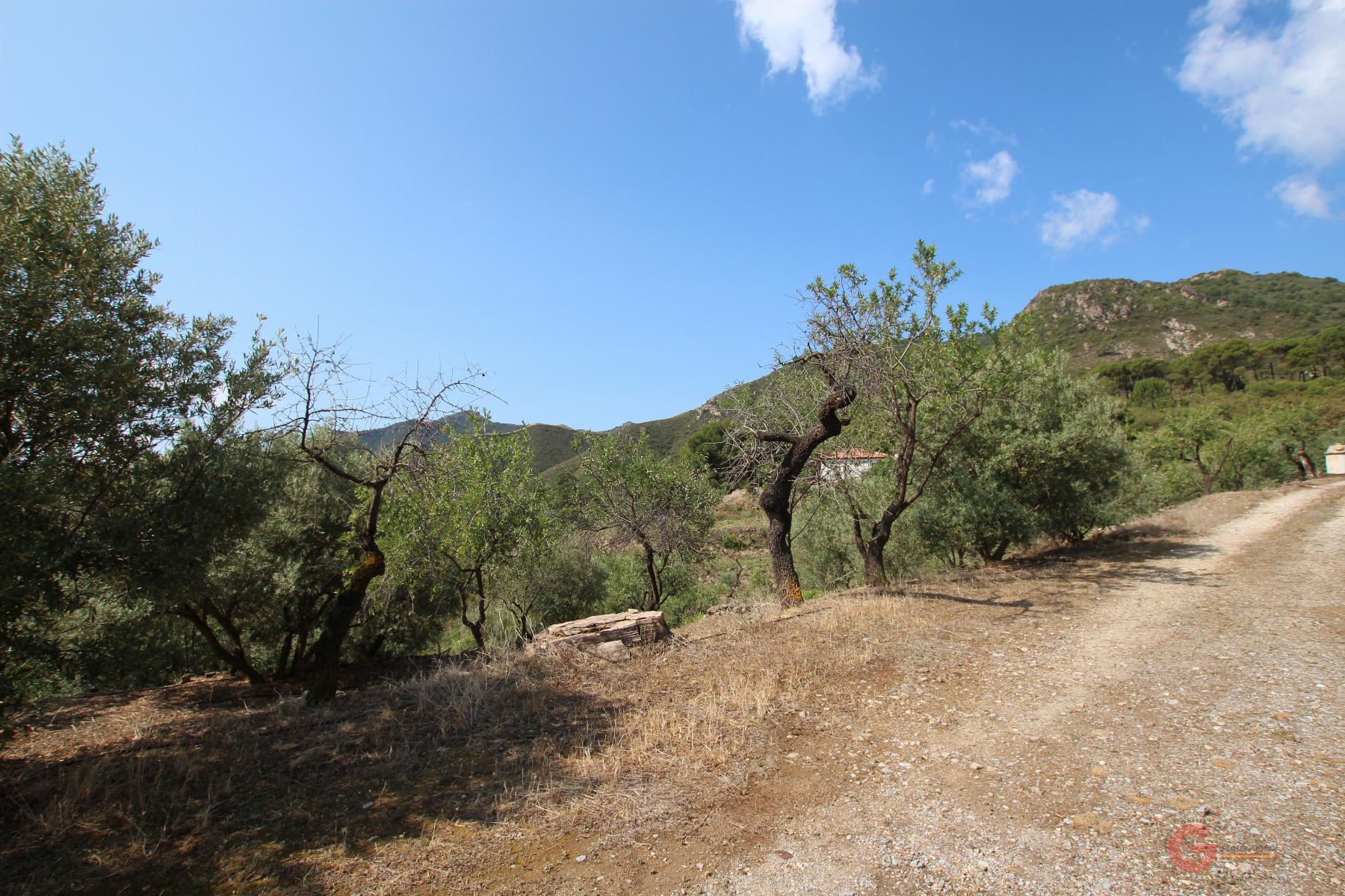 Venta de finca rústica en Guájar Alto