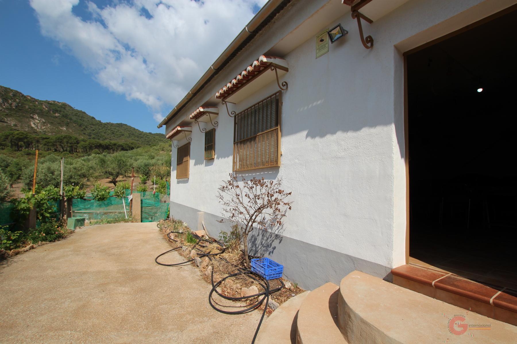 Venta de finca rústica en Guájar Alto
